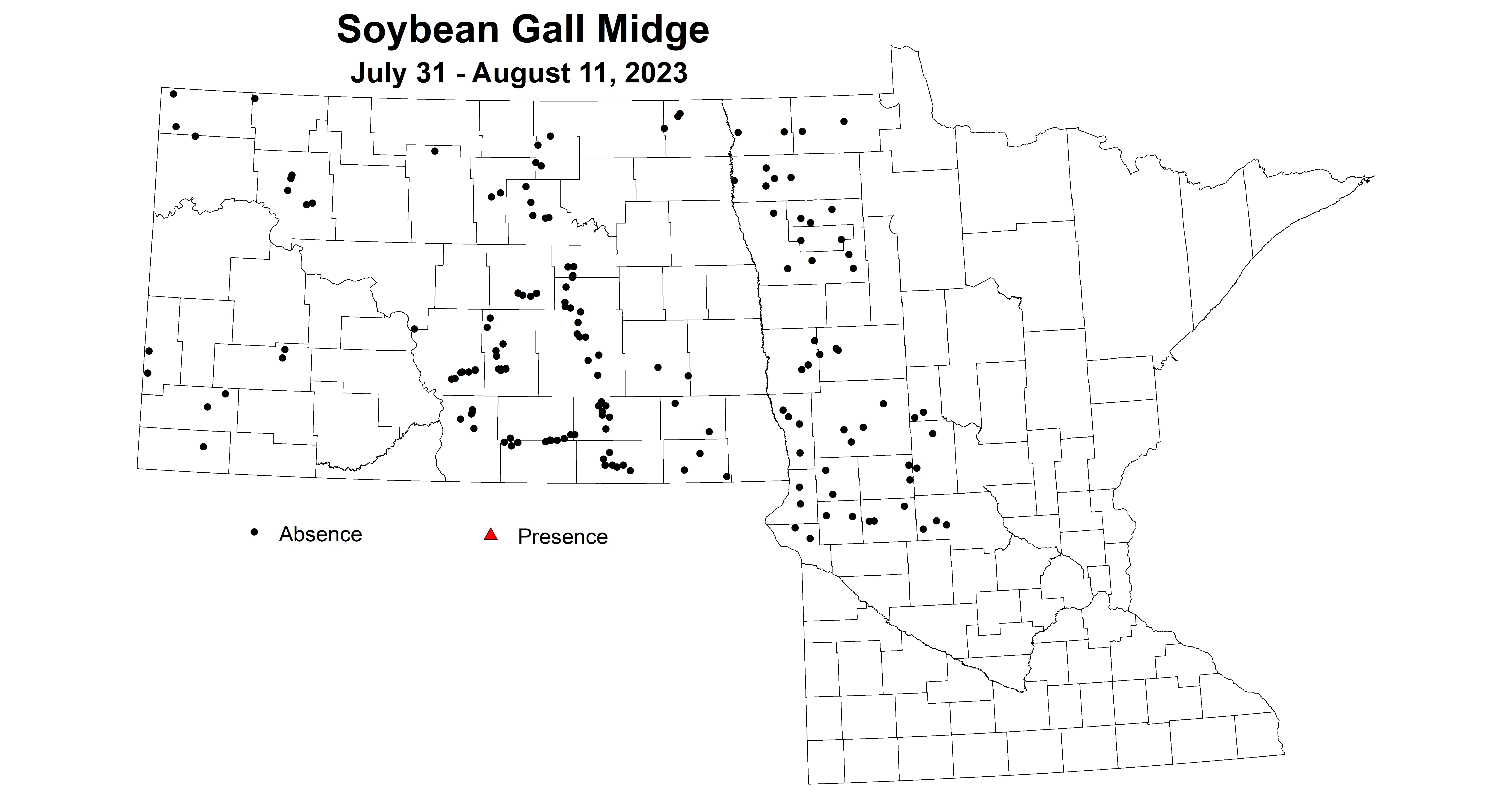 soybean gall midge 7.31-8.11 2023