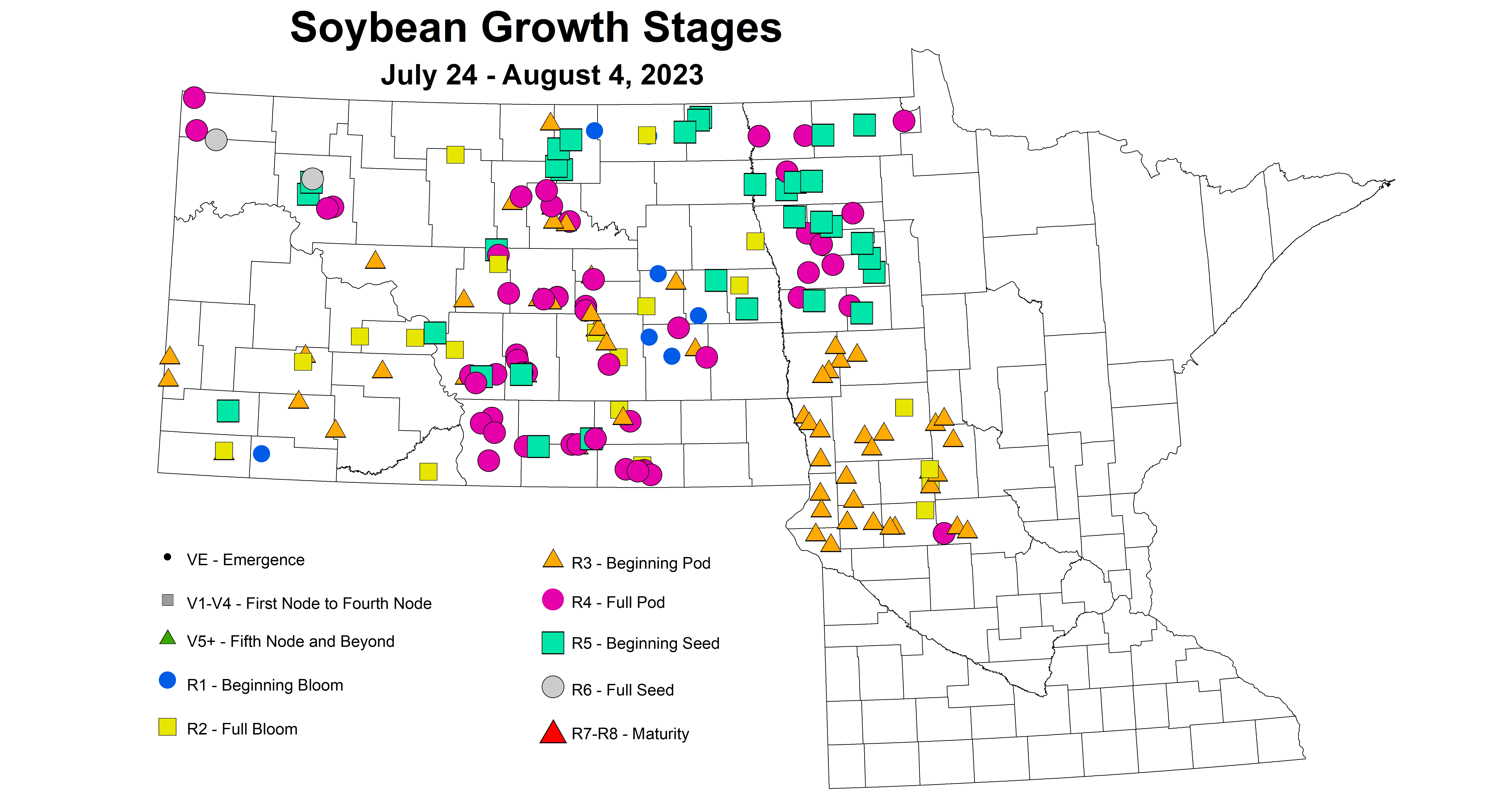 soybean growth stages 7.24-8.4 2023