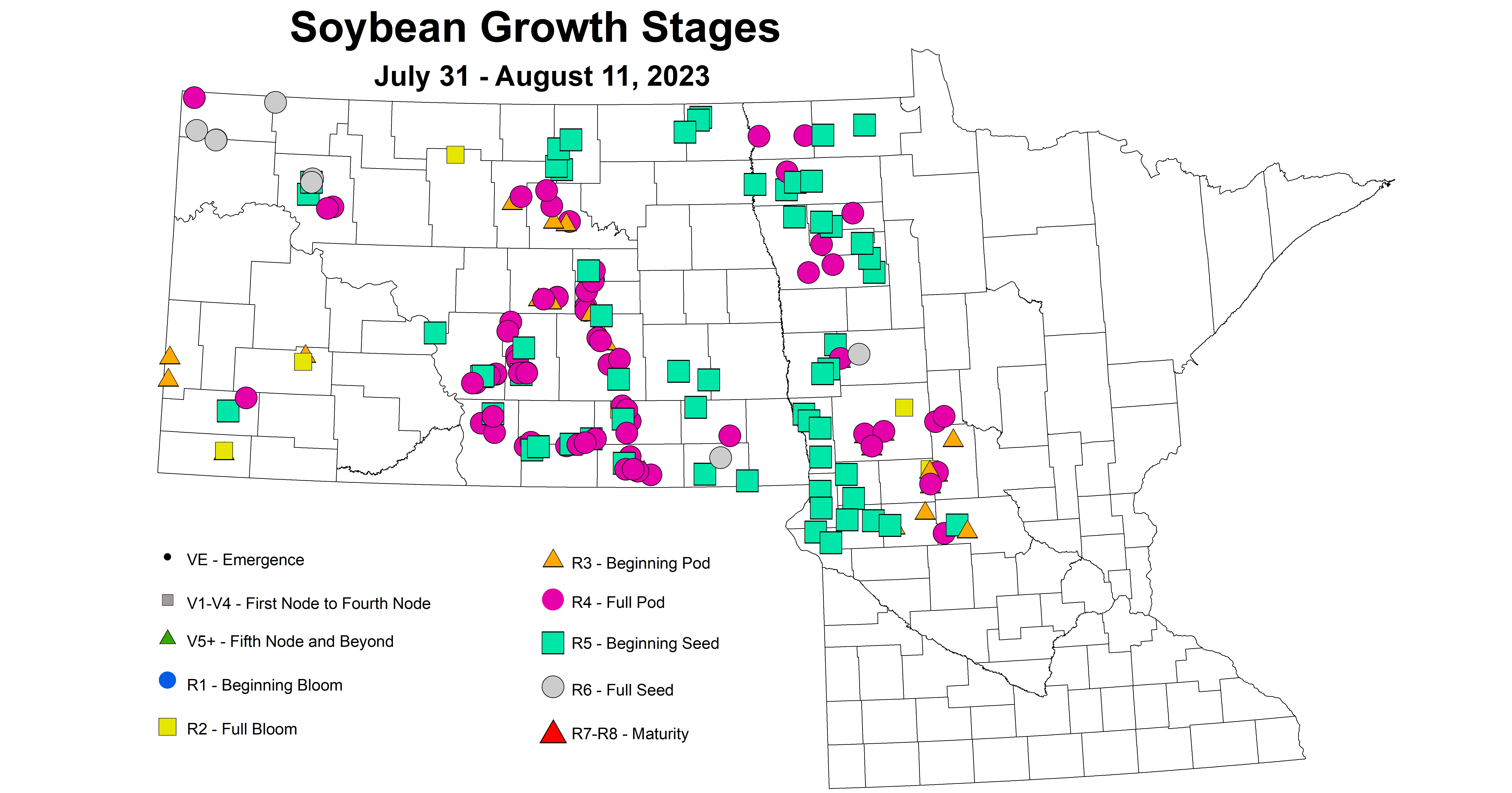 soybean growth stages 7.31-8.11 2023