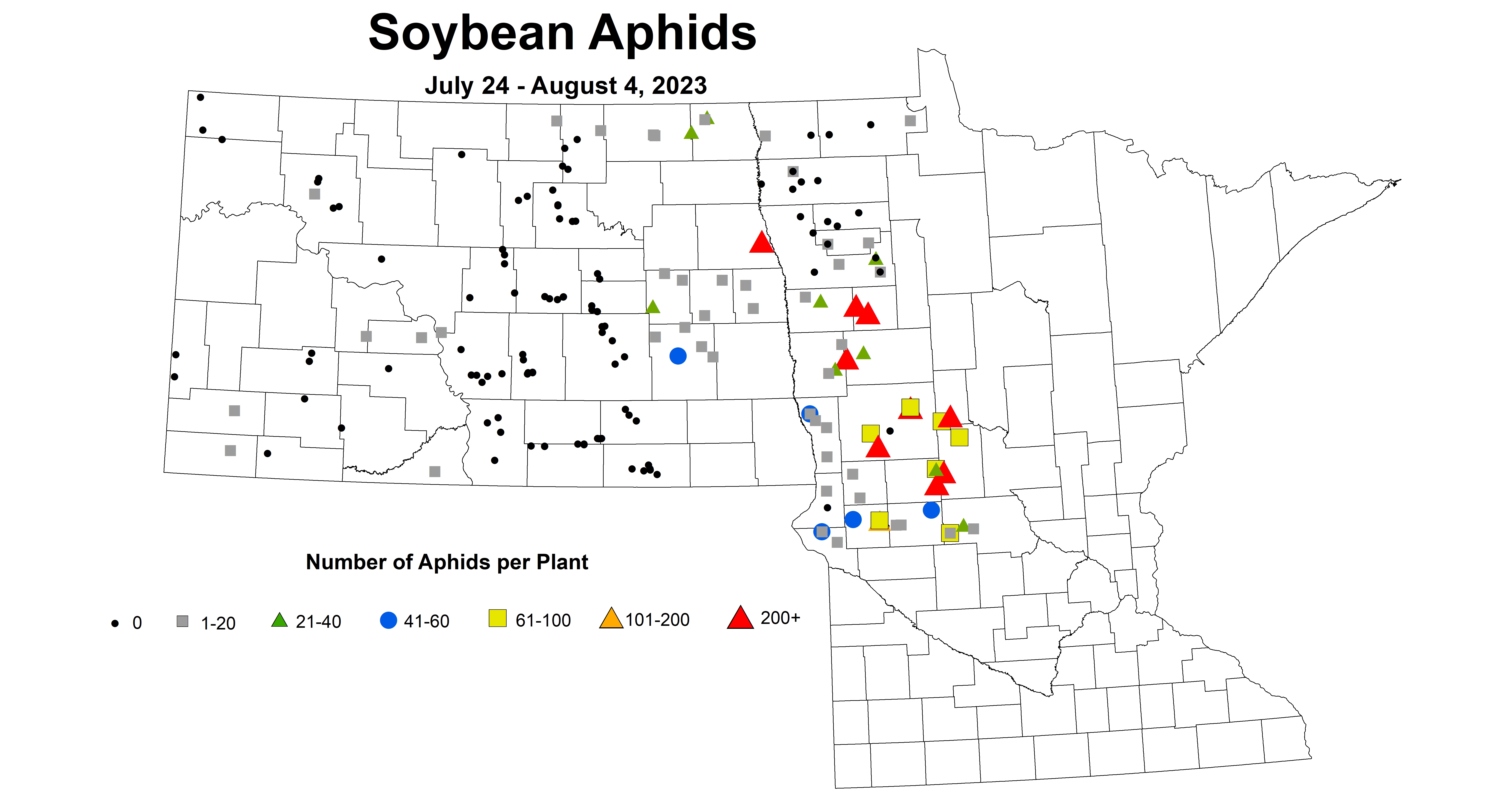 soybean number of aphids 7.24-8.4 2023