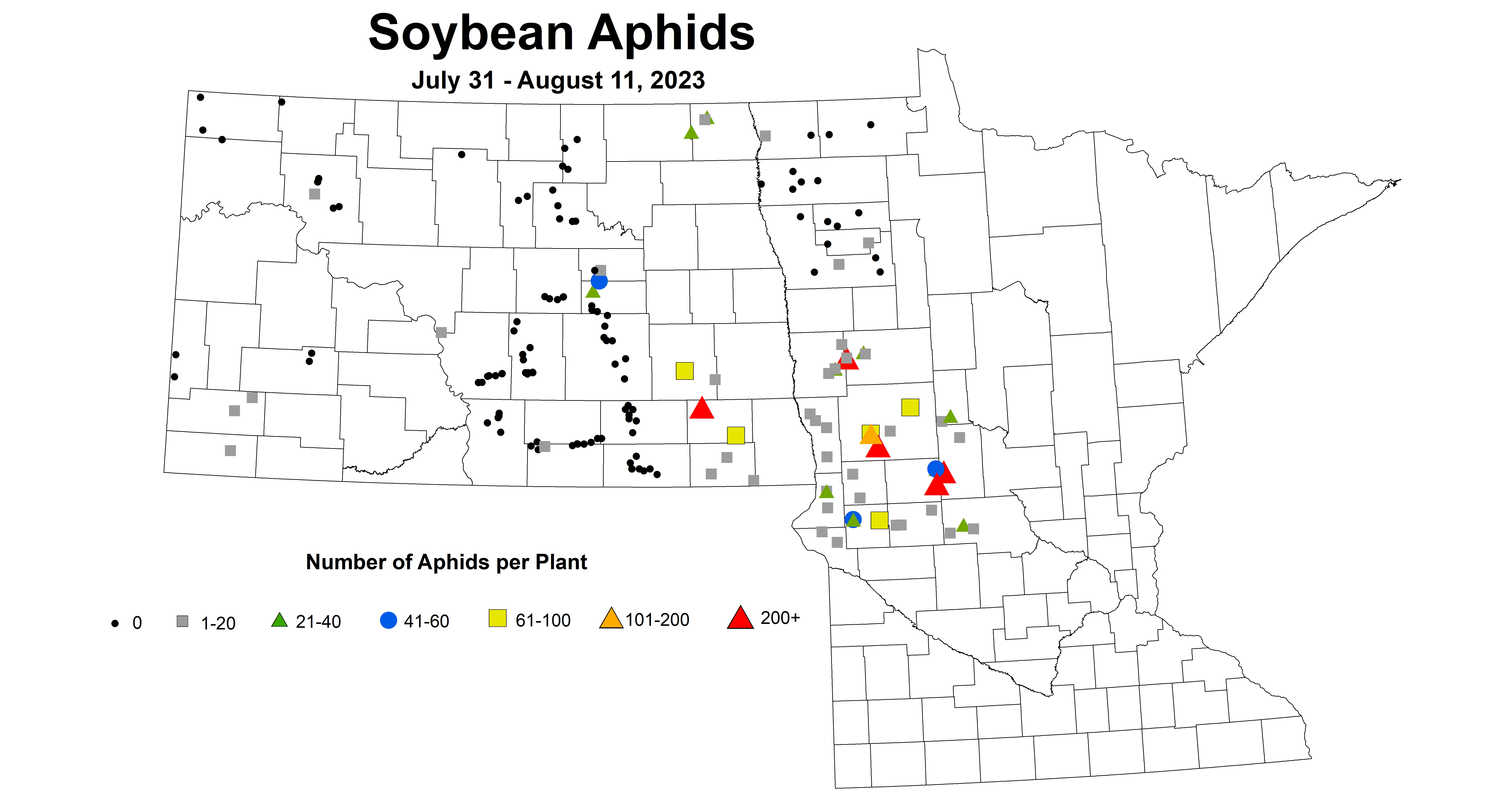 soybean number of aphids 7.31-8.11 2023