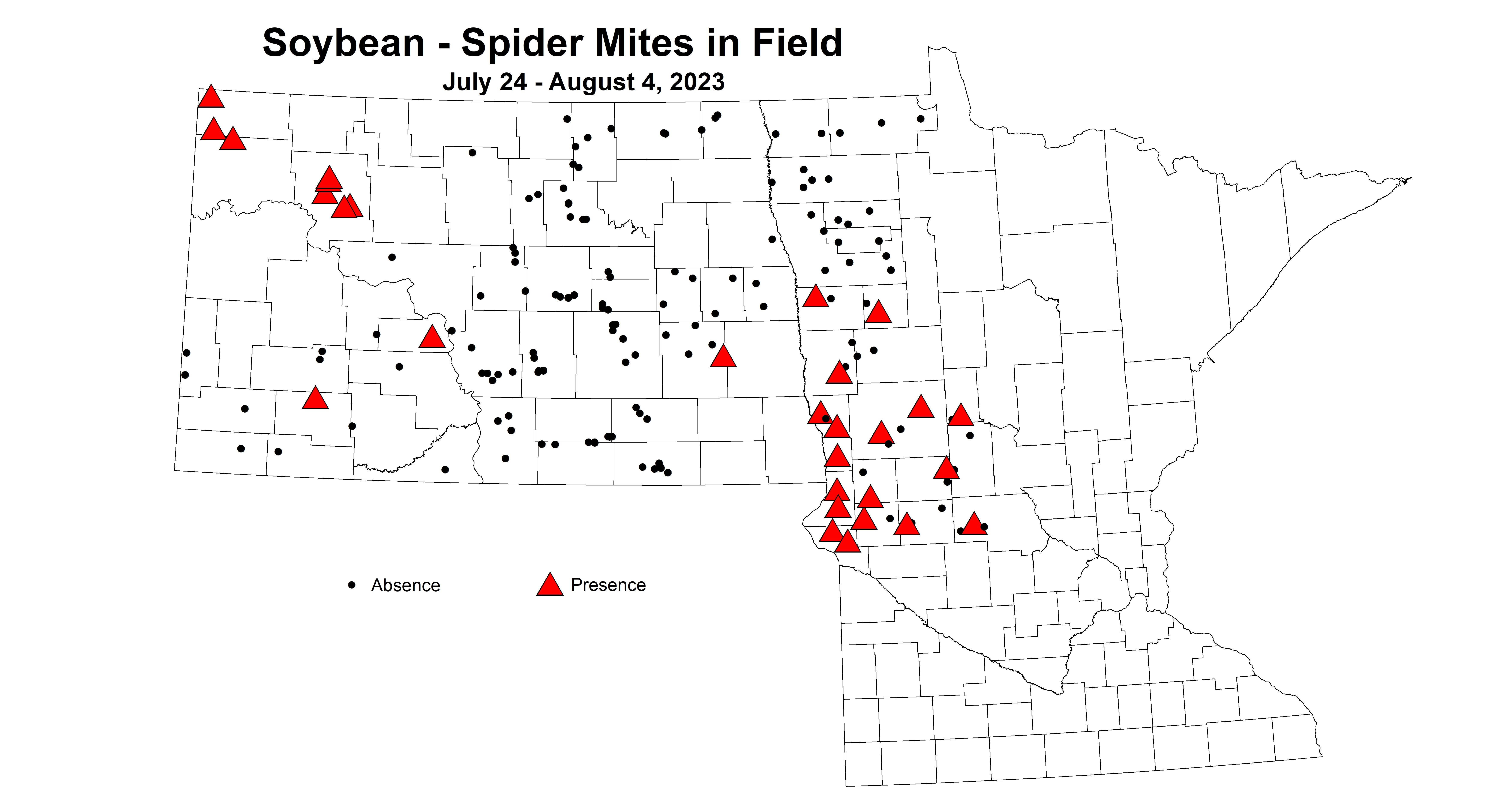 soybean spider mites in field 7.24-8.4 2023