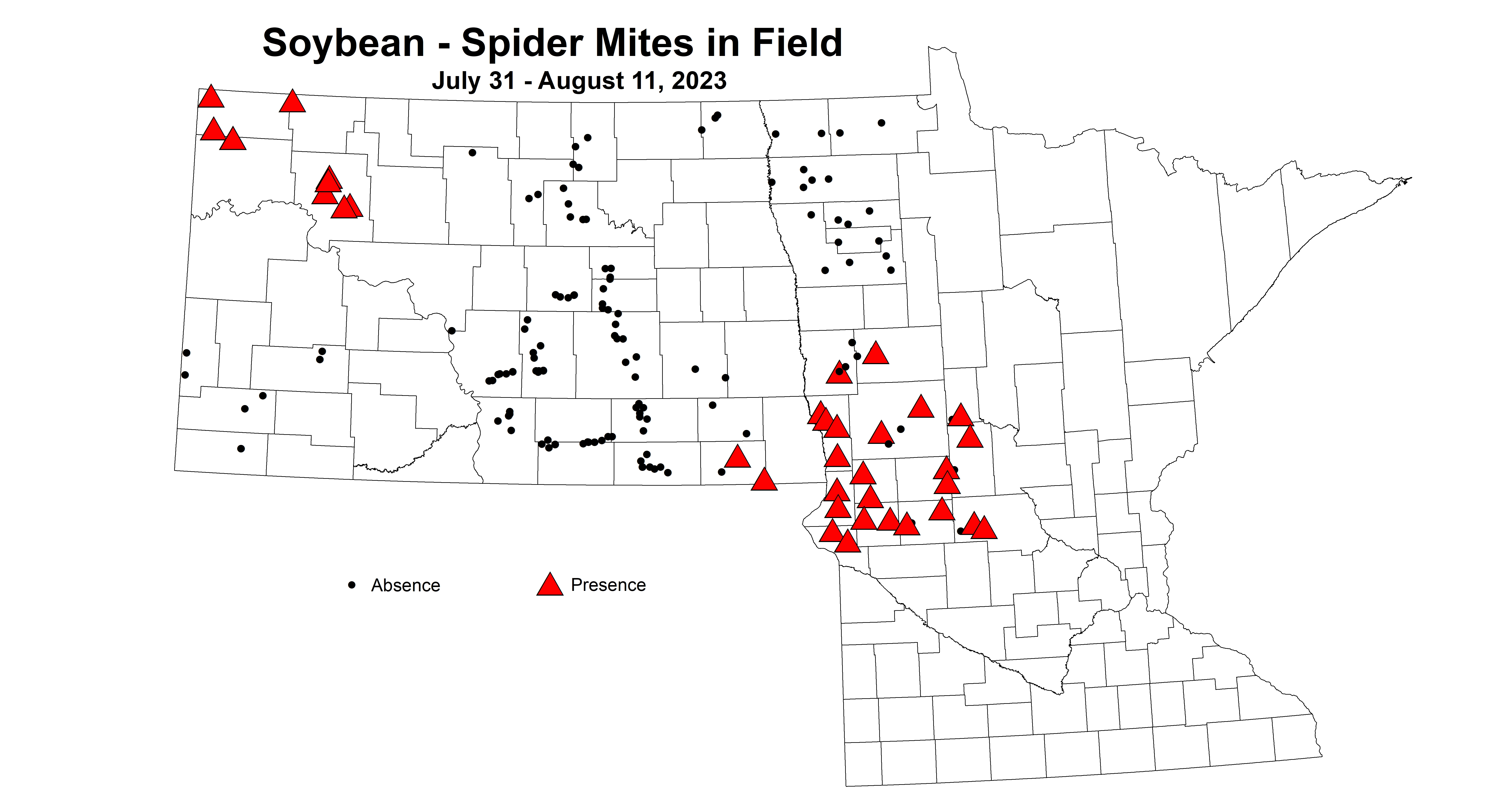 soybean spider mites in field 7.31-8.11 2023