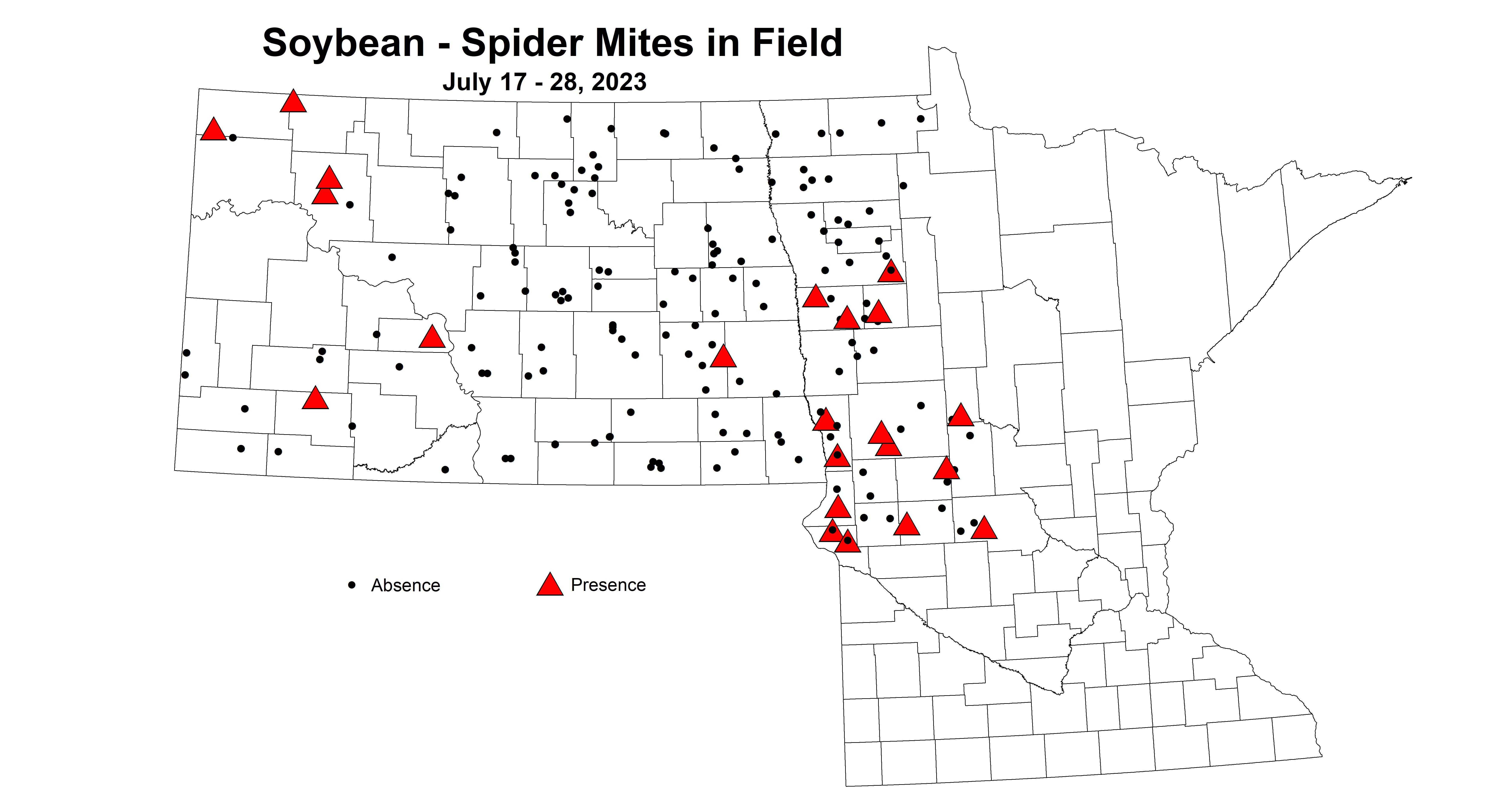 soybean spider mites in field July 17-28 2023