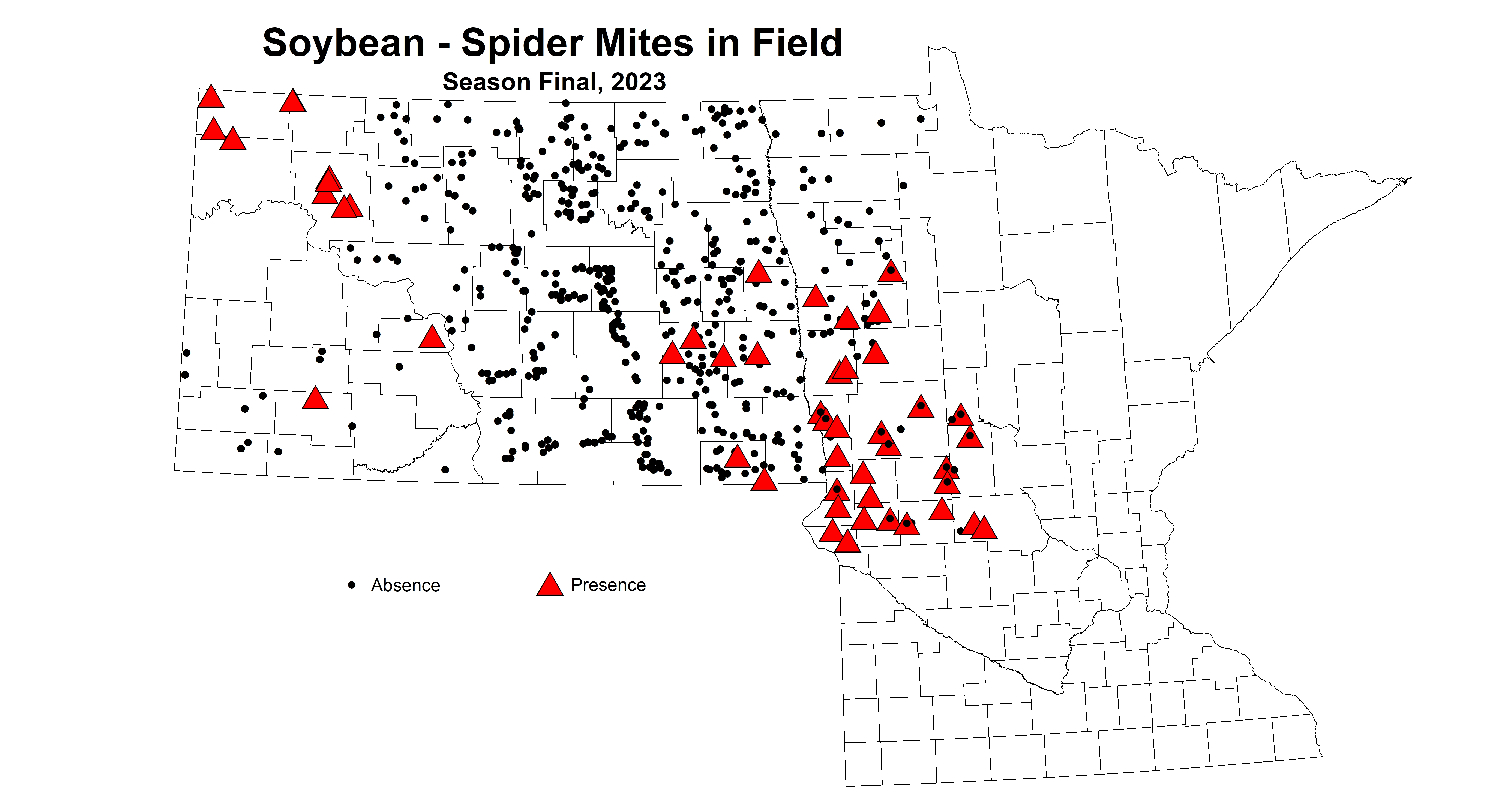 soybean spider mites in field season final 2023