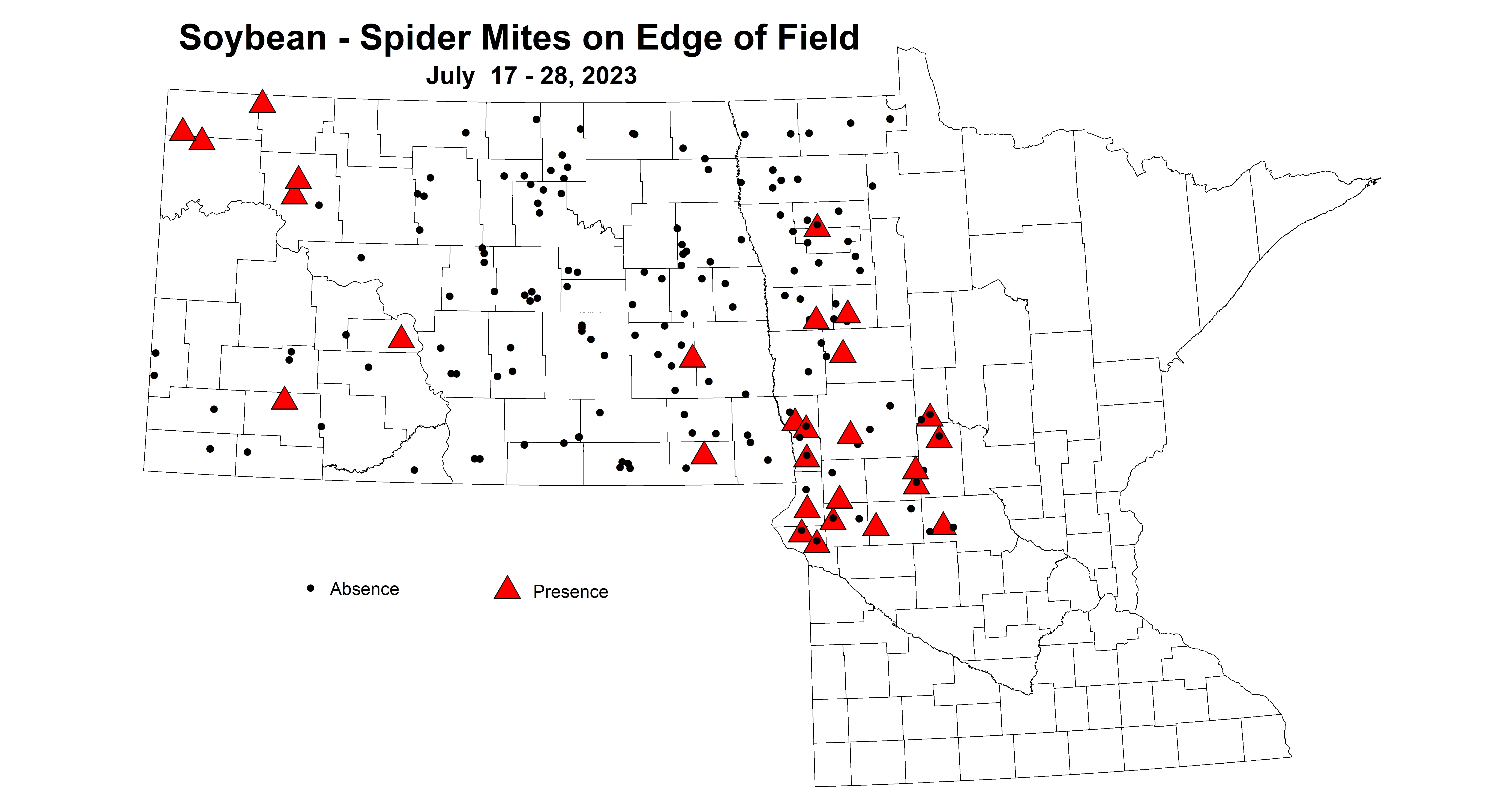 soybean spider mites on edge of field July 17-28 2023