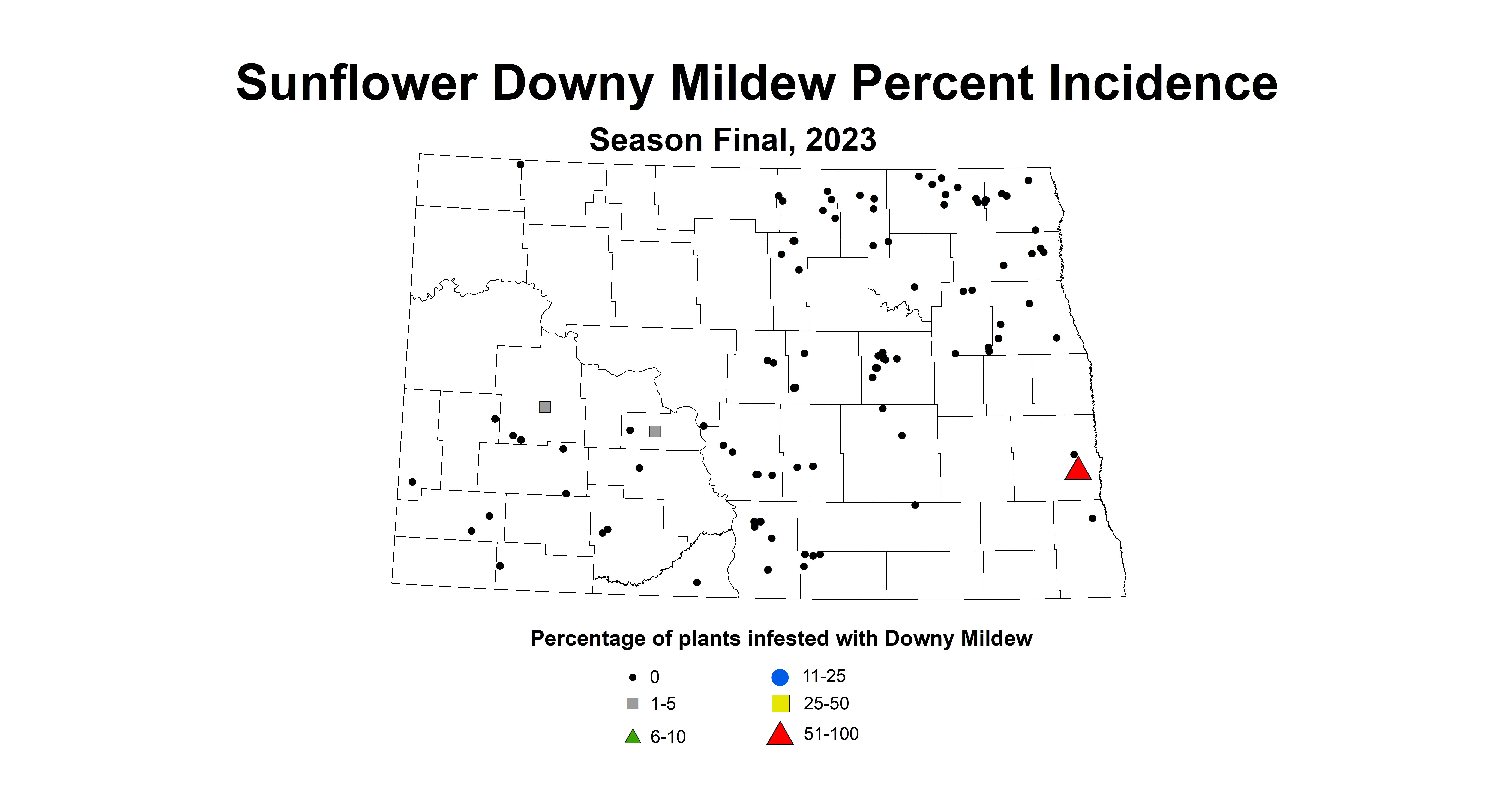 sunflower downy mildew incidence season final 2023