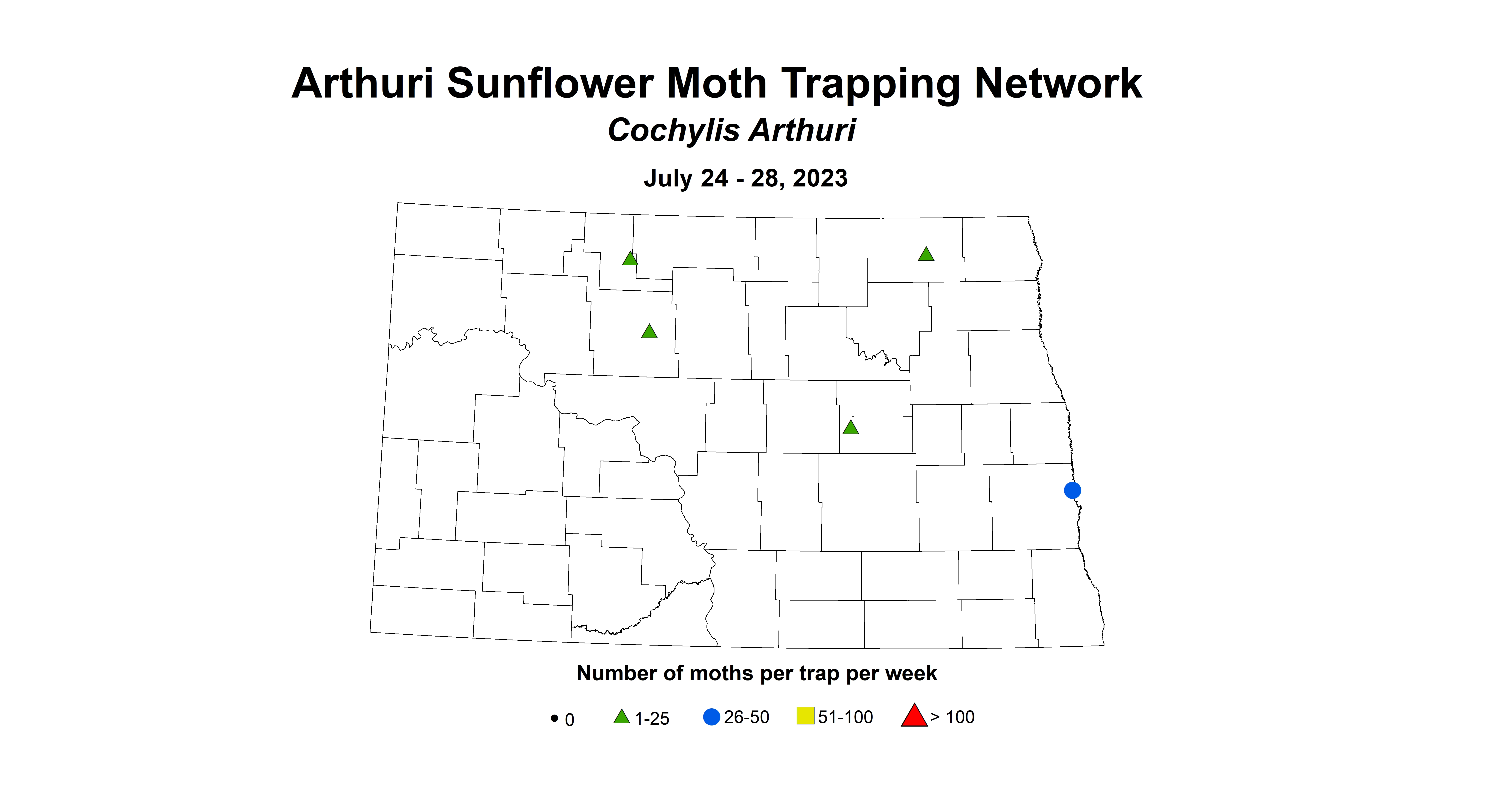 sunflower insecttrap arthuri sunflower moth July 24-28 2023