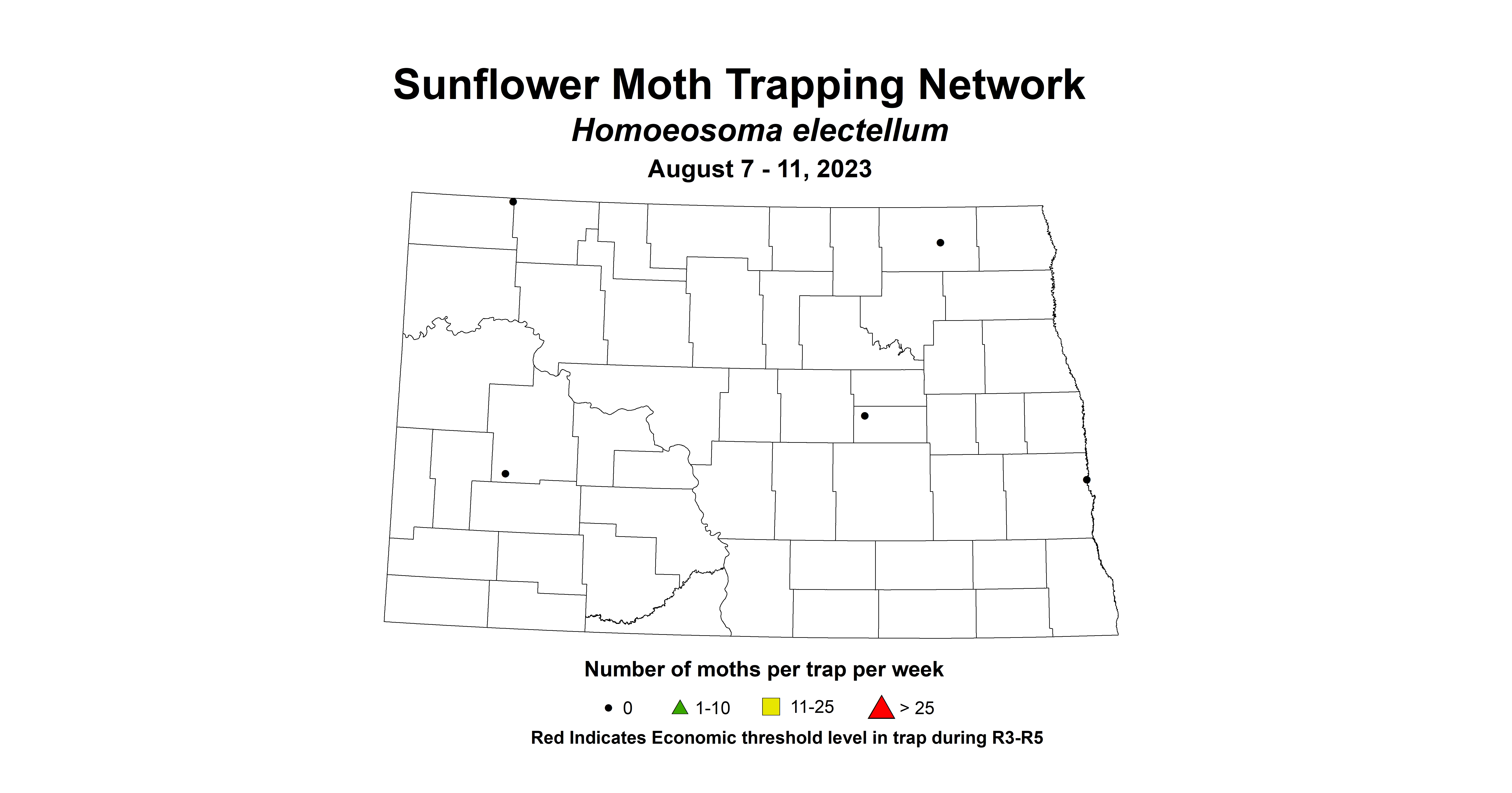 sunflower moth 8.7-8.11 2023