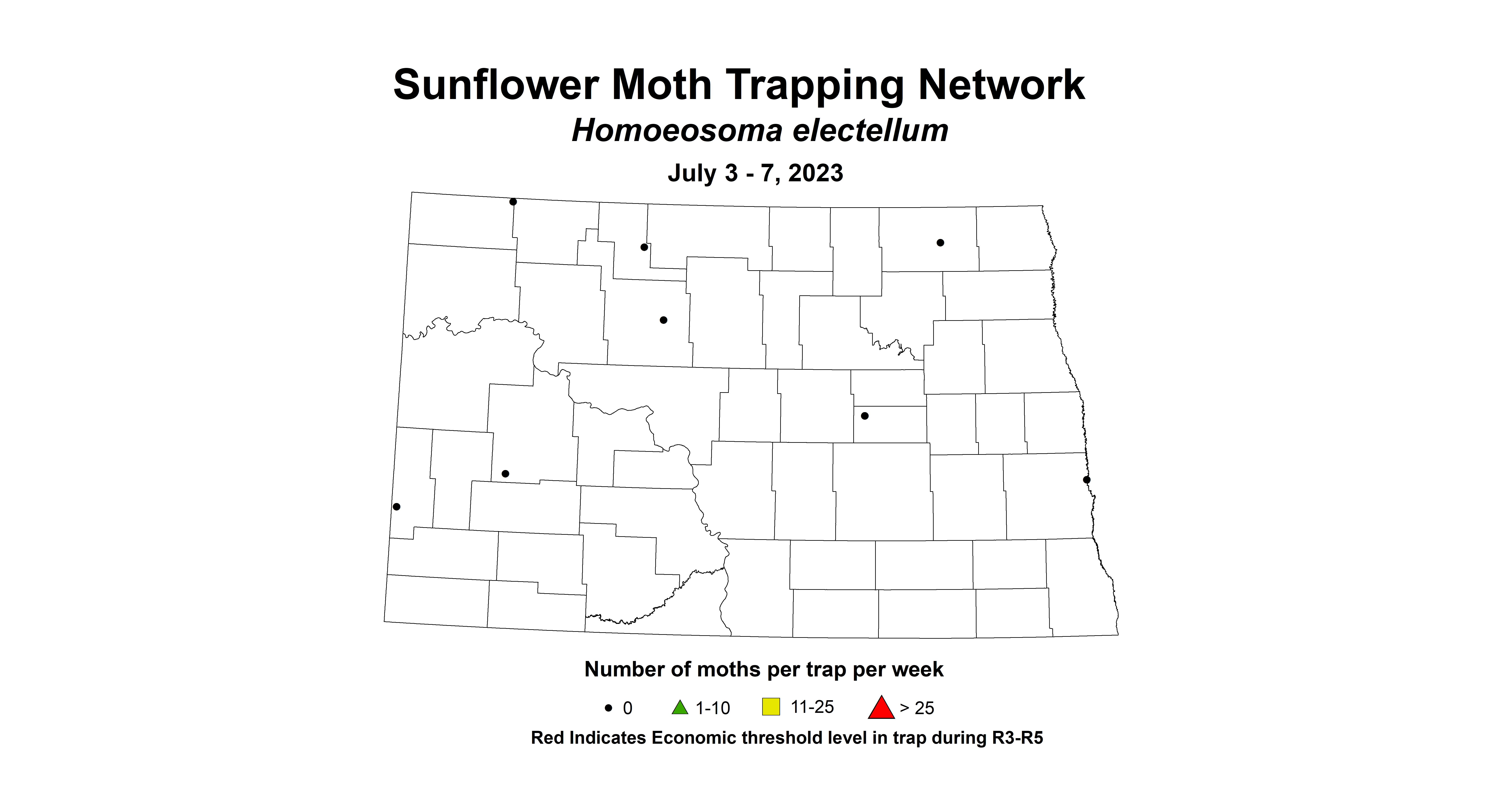 sunflower moth July 3-7 2023 corrected
