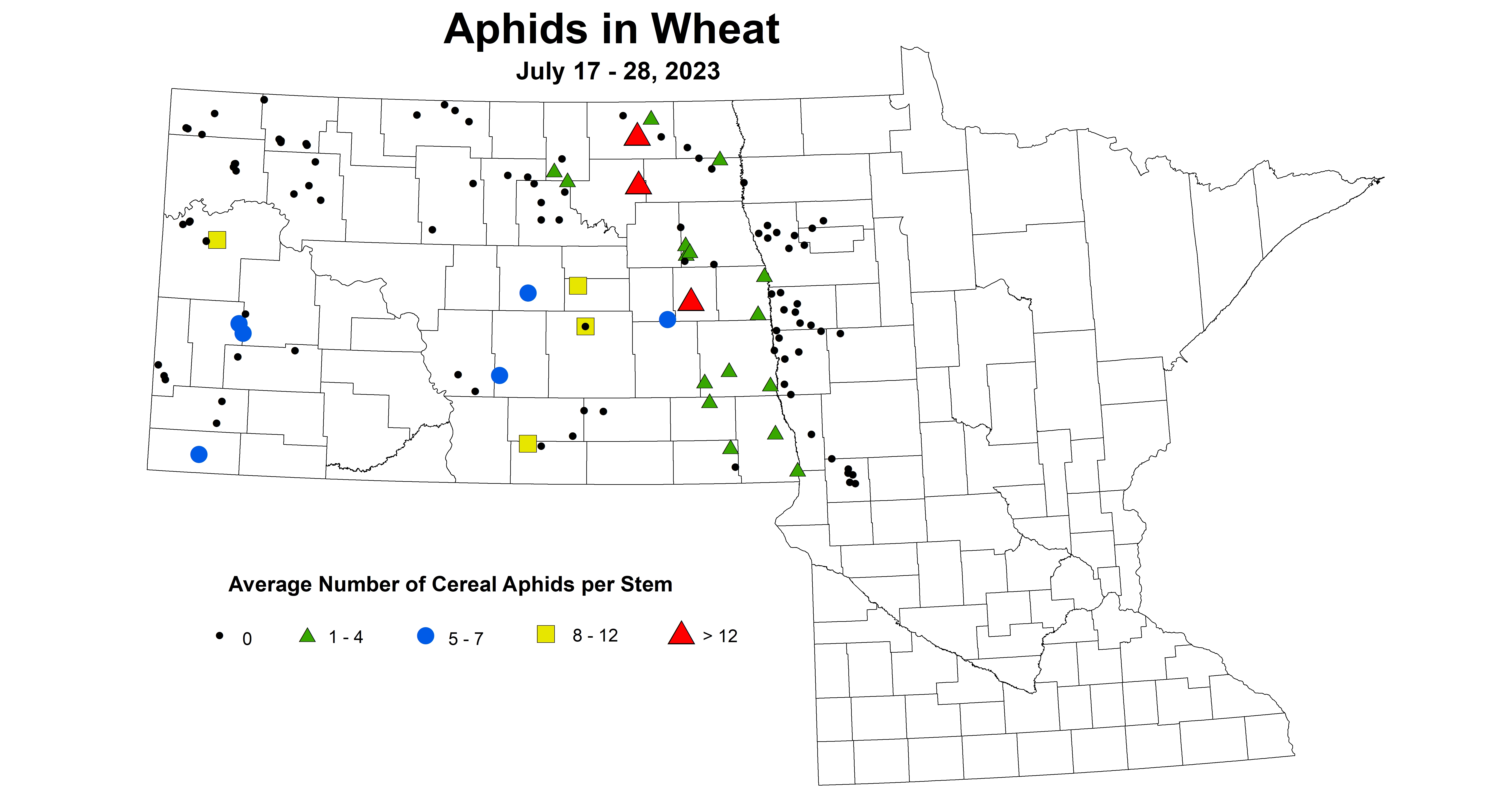 wheat aphids July 17-28 2023