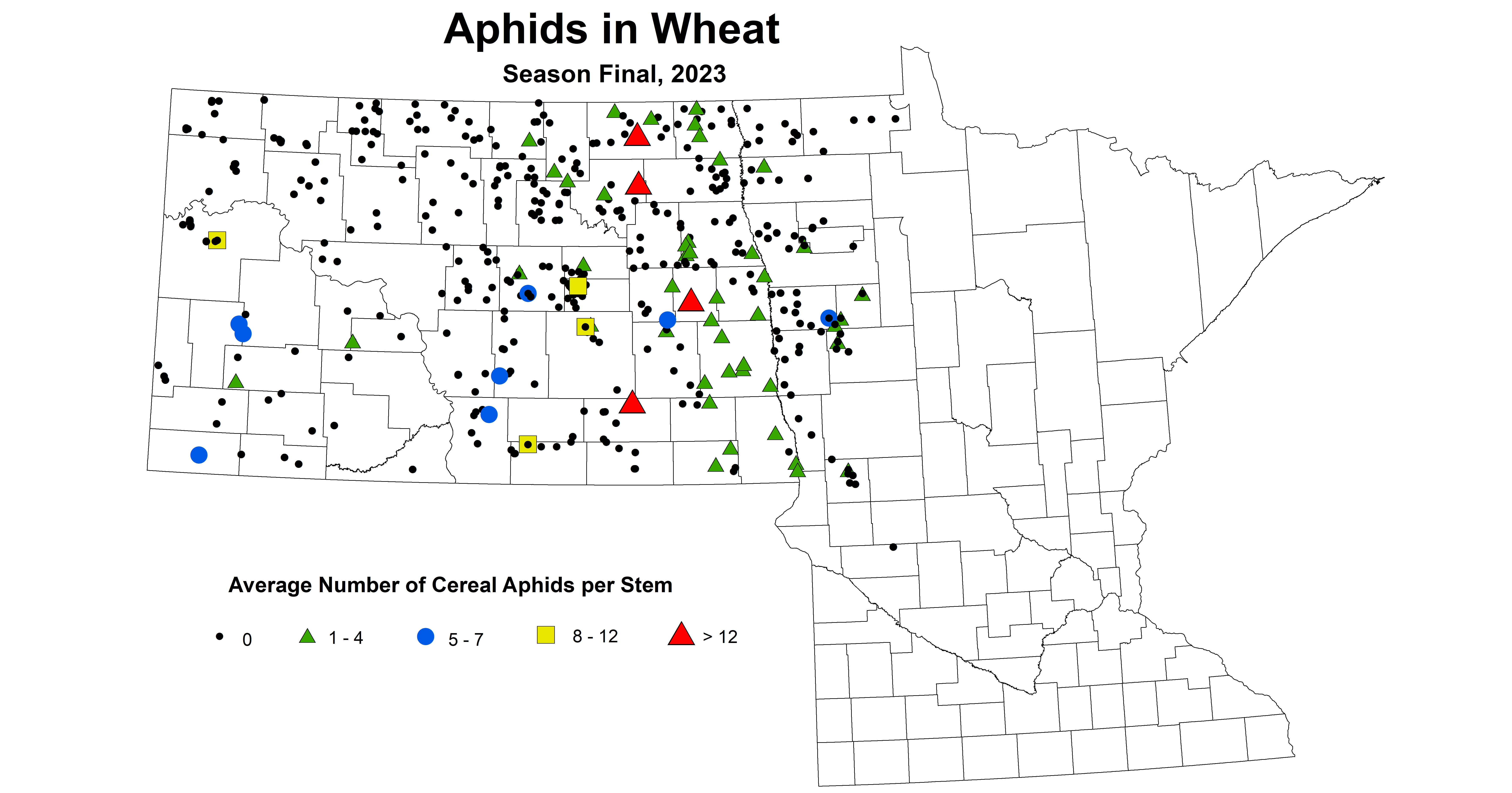 wheat aphids season final 2023