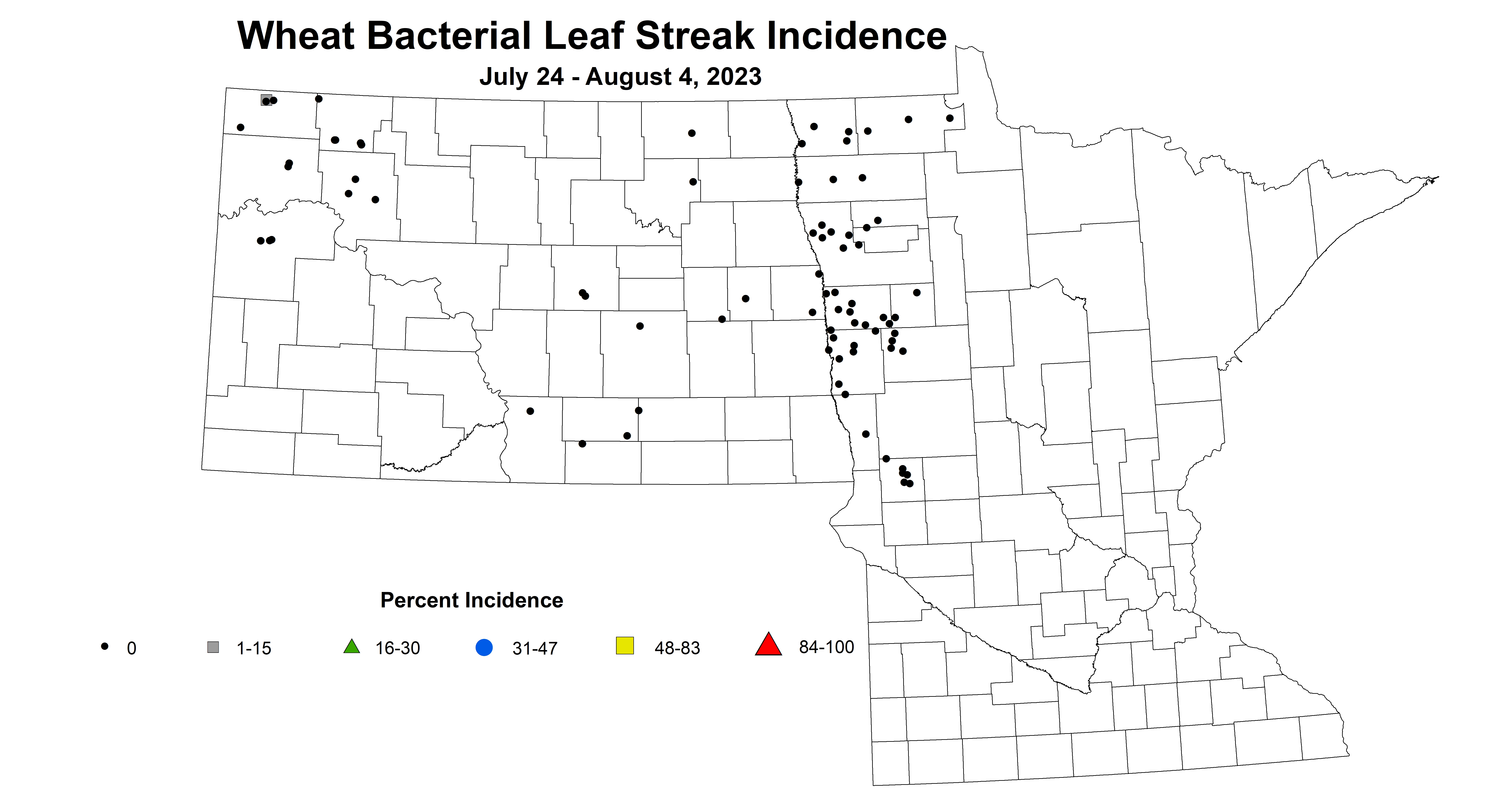 wheat bacterial leaf streak incidence 7.24-8.4 2023