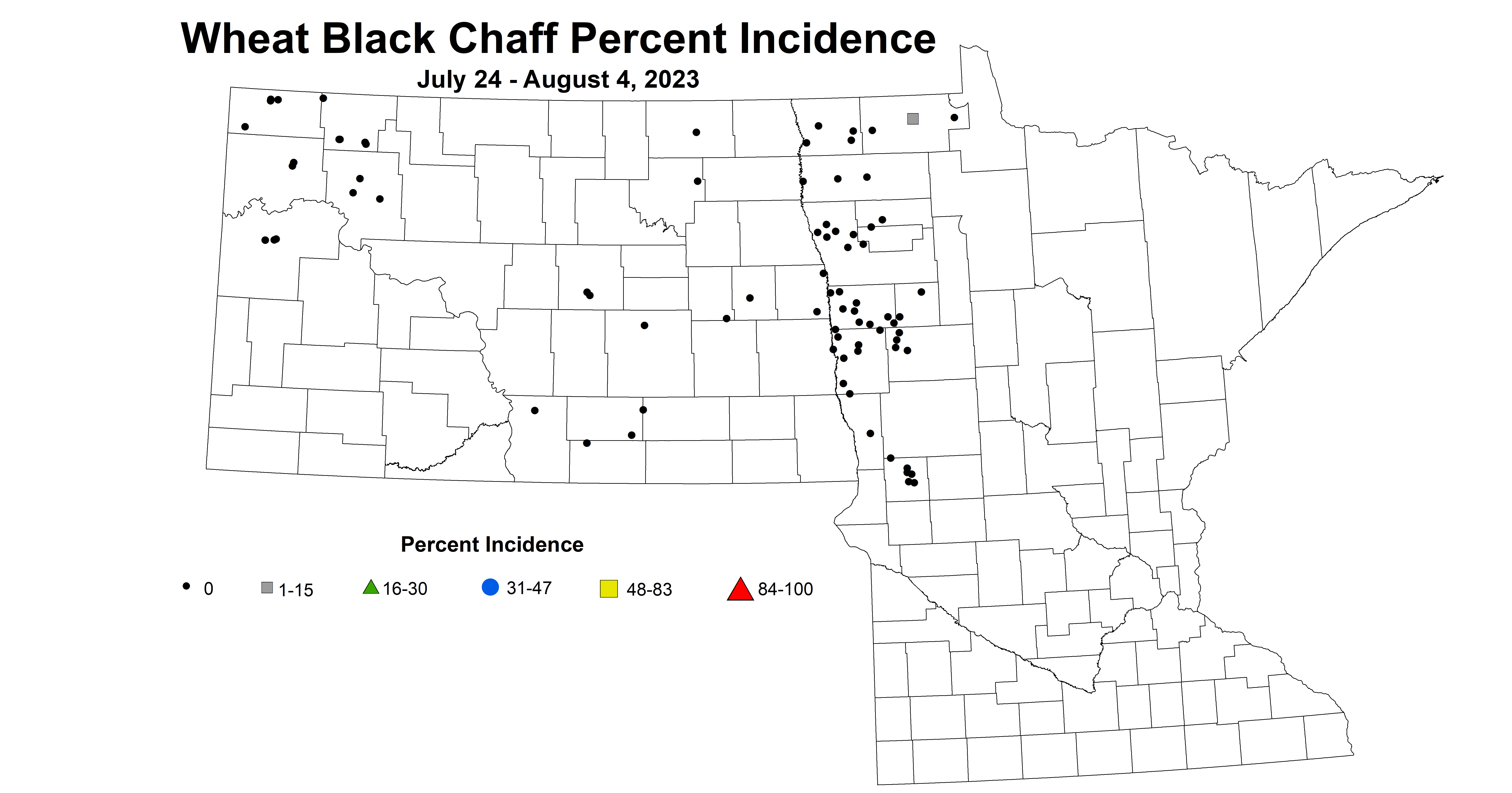 wheat black chaff incidence 7.24-8.4 2023