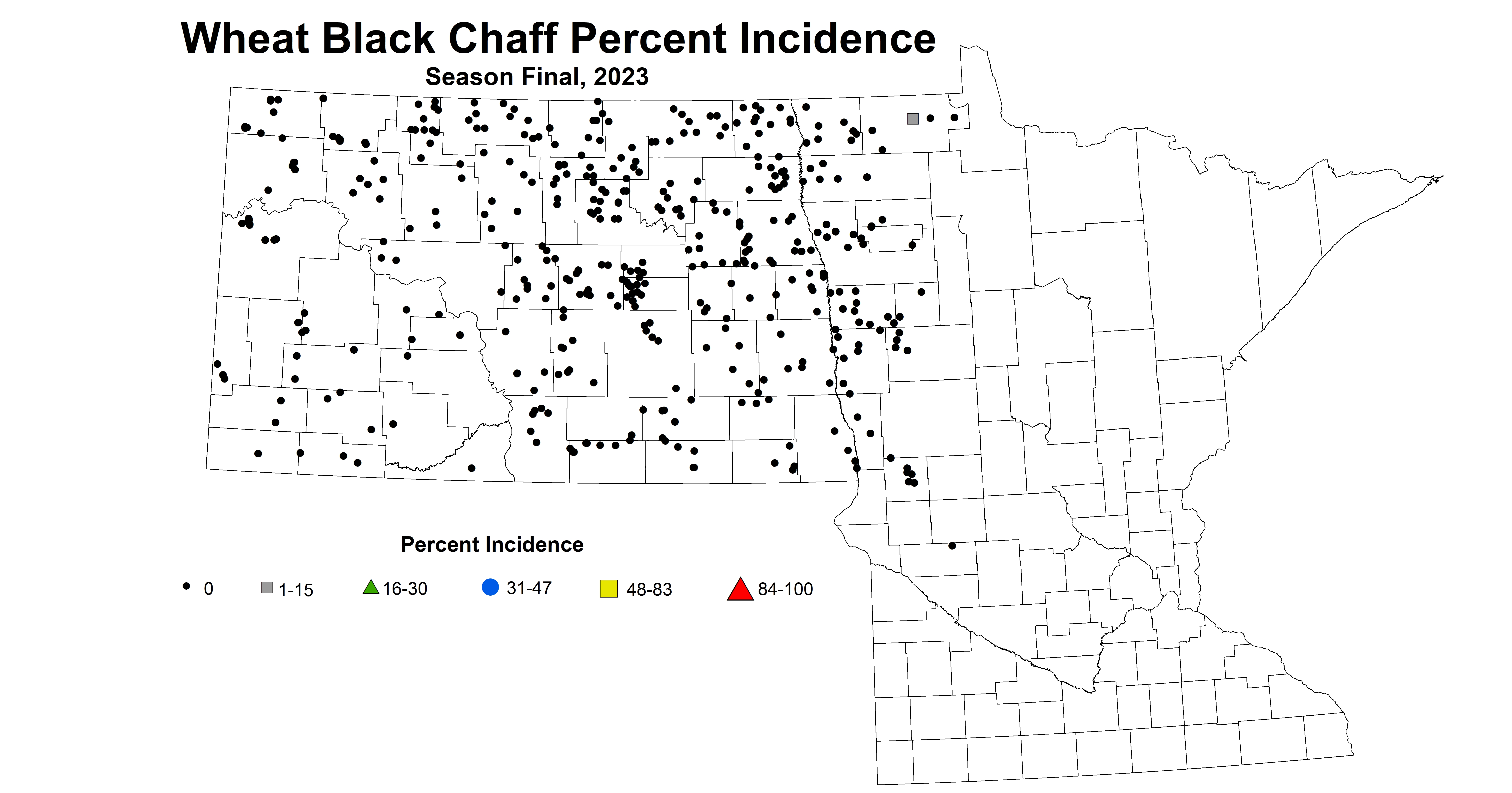 wheat black chaff incidence season final 2023