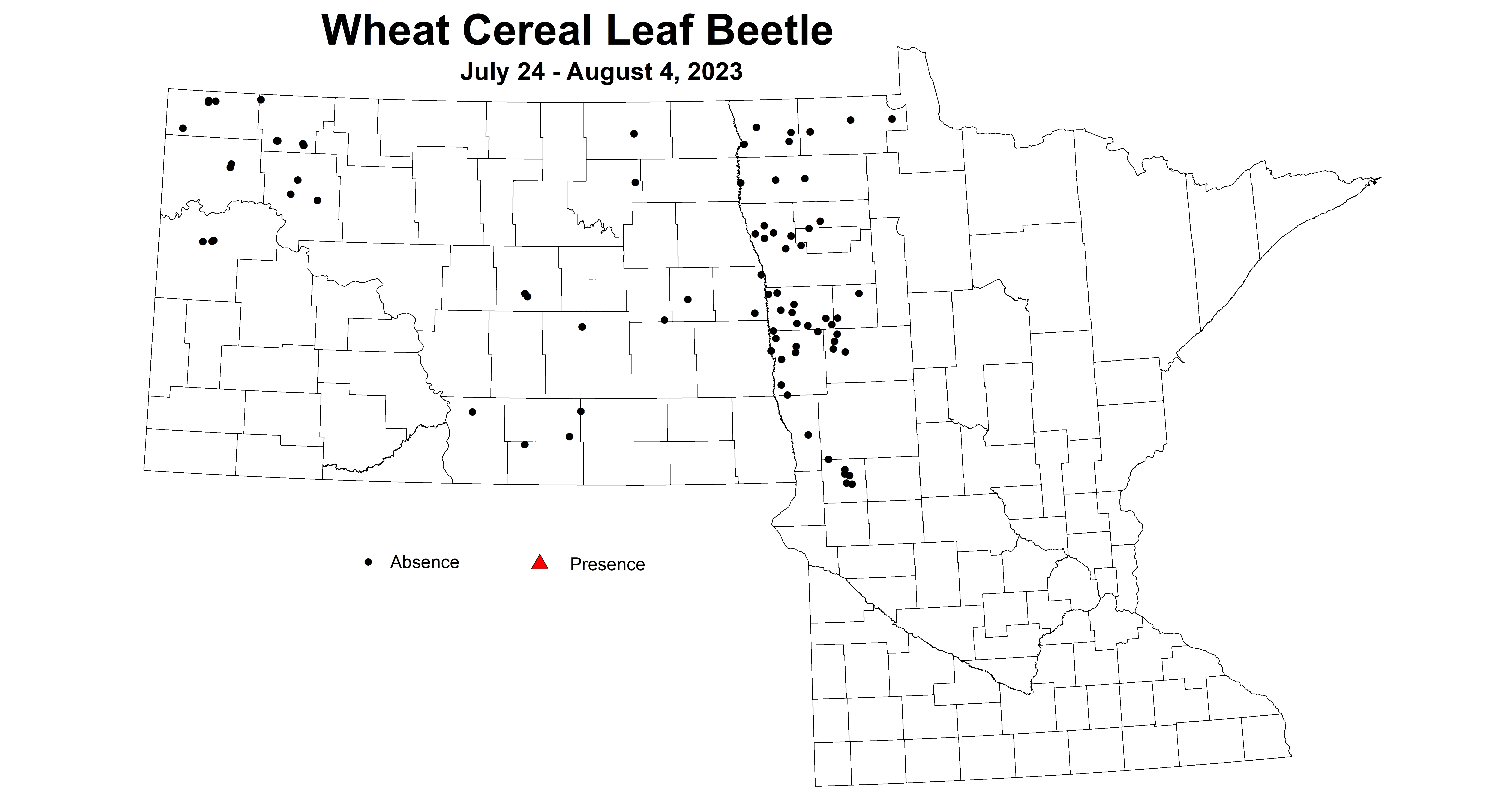 wheat cereal leaf beetle 7.24-8.4 2023