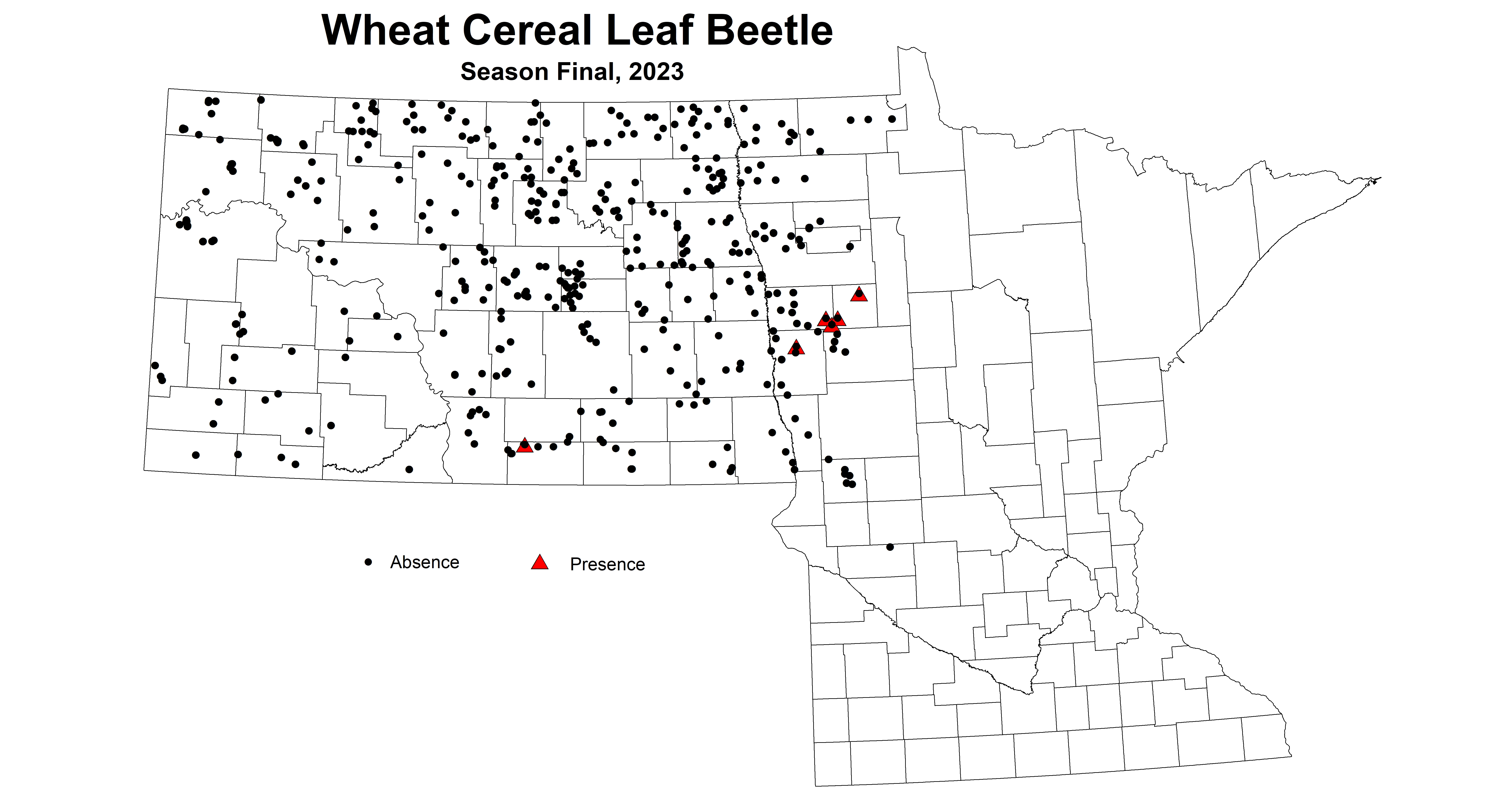 wheat cereal leaf beetle season final 2023