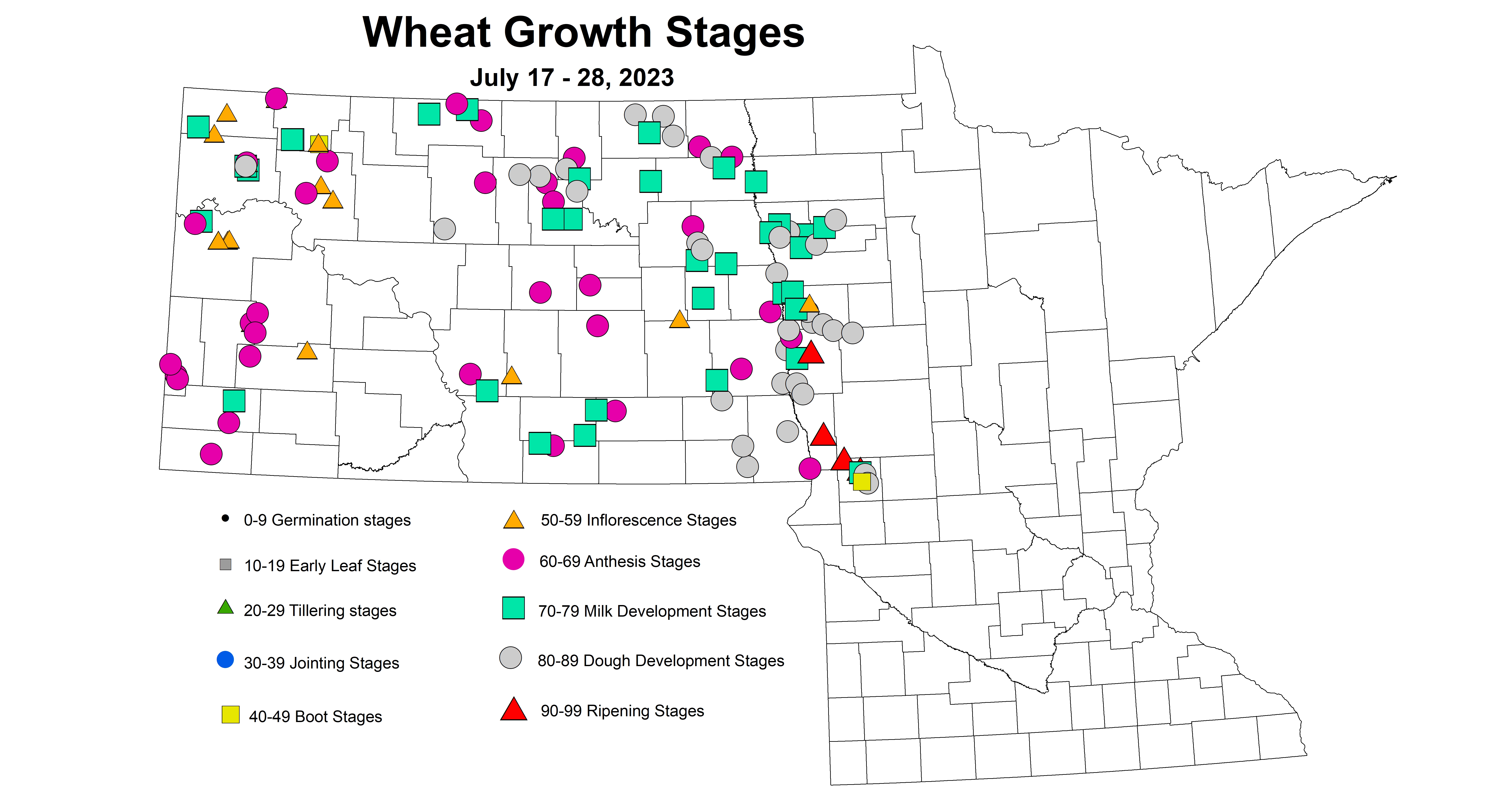 wheat growth stages July 17-28 2023
