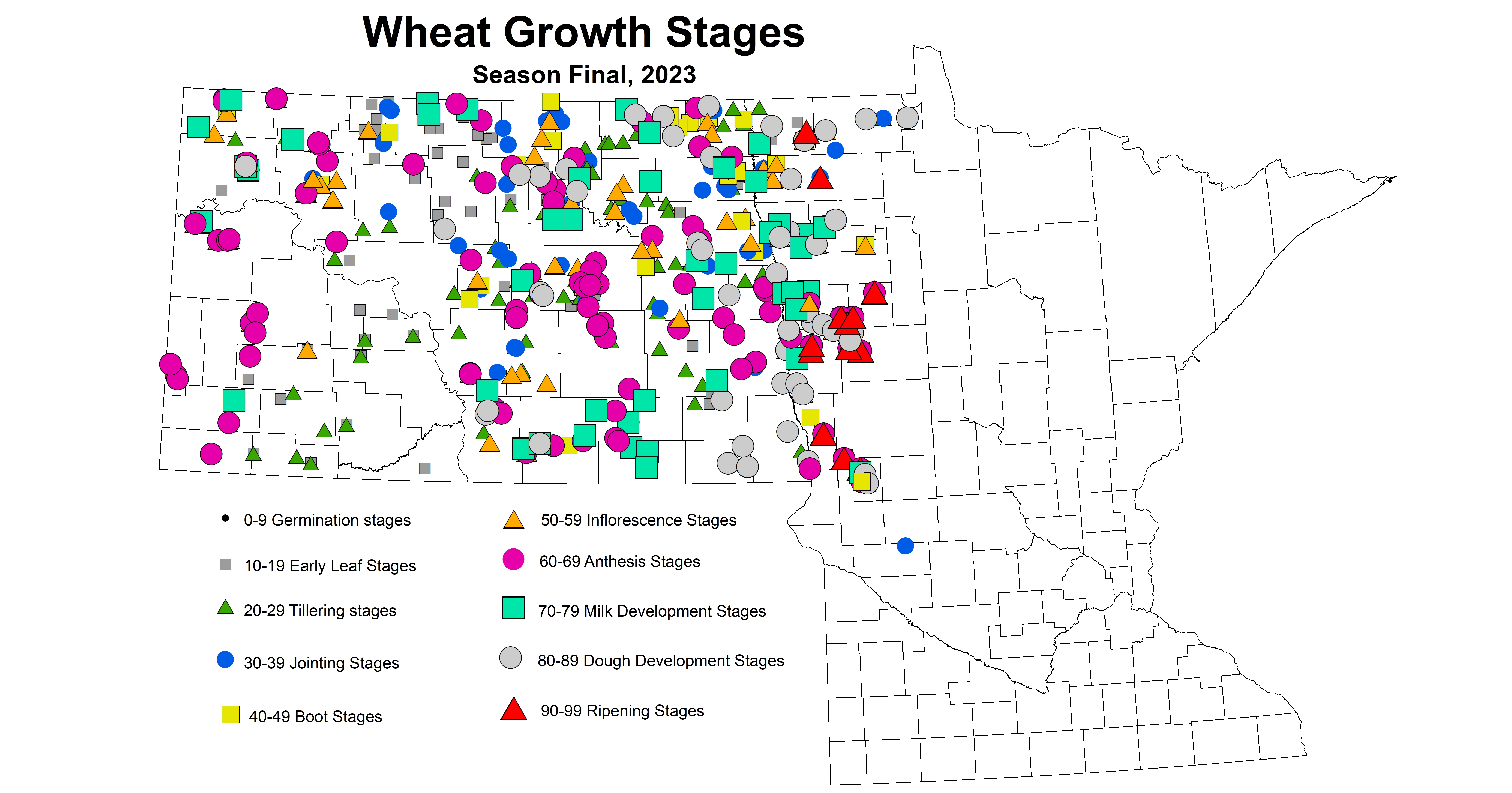 wheat growth stages season final 2023