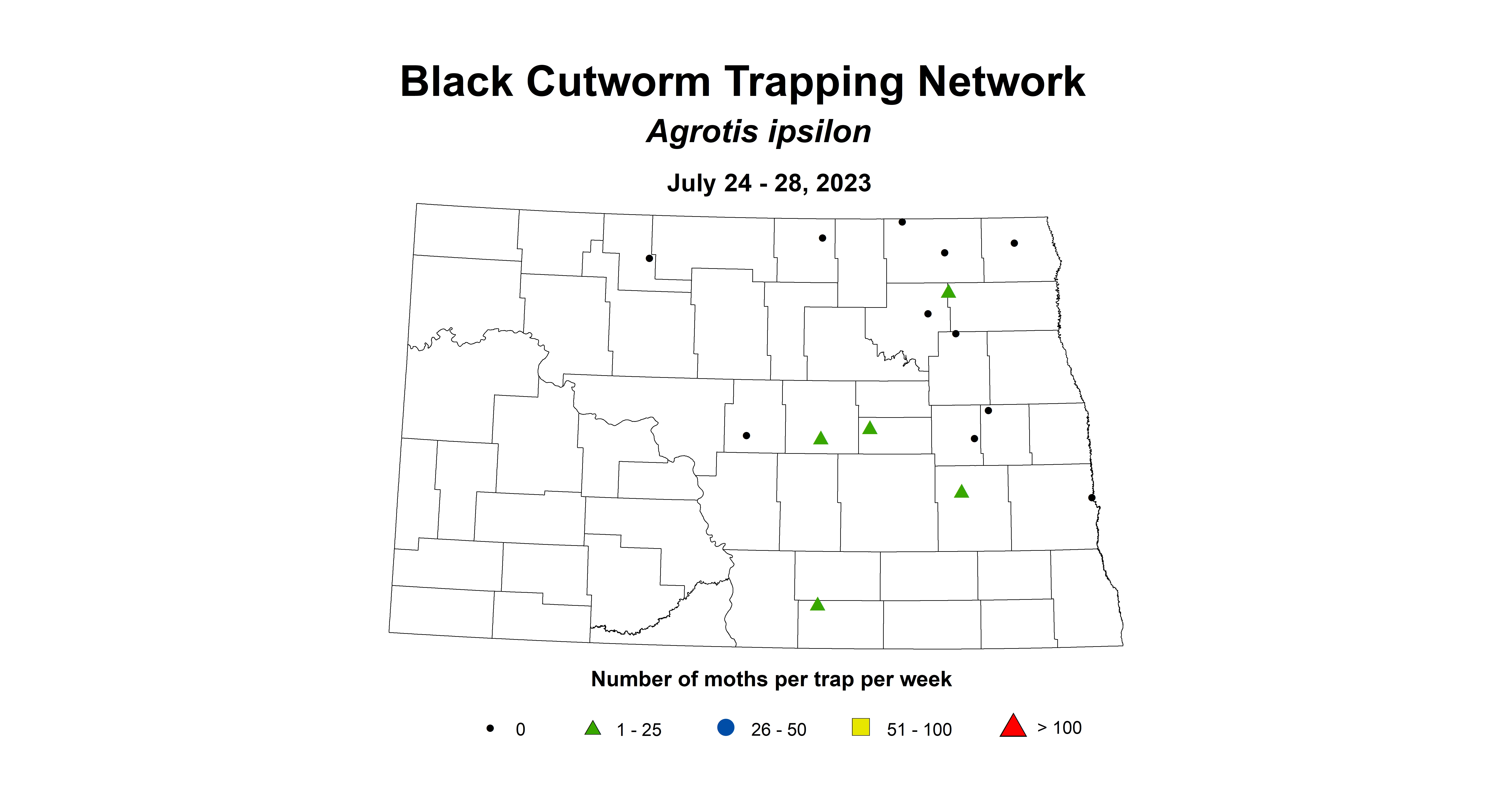 wheat insecttrap black cutoworm July 24-28 2023