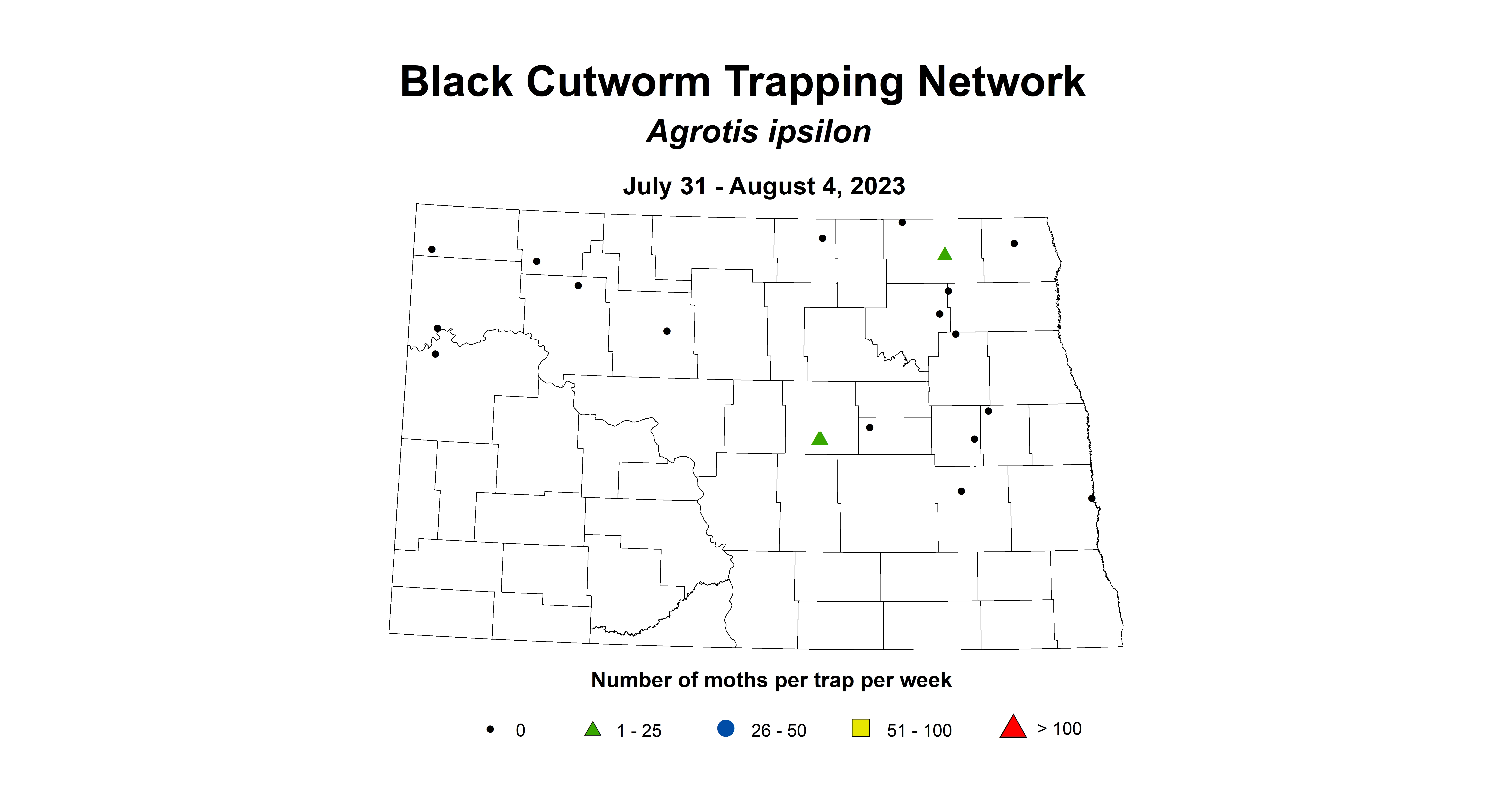 wheat insecttrap black cutworm 7.31-8.4 2023