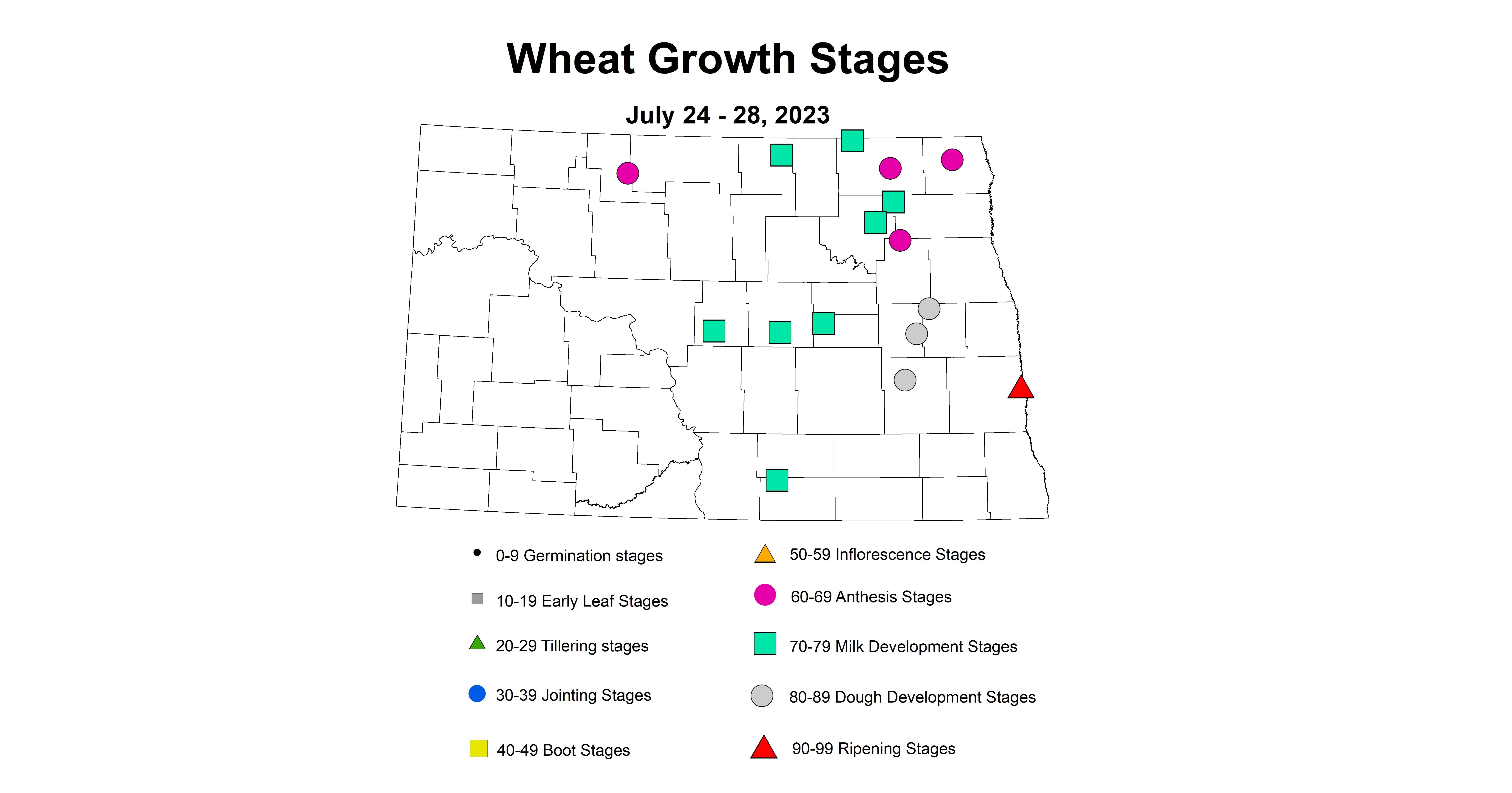 wheat insecttrap growth stages July 24-28 2023