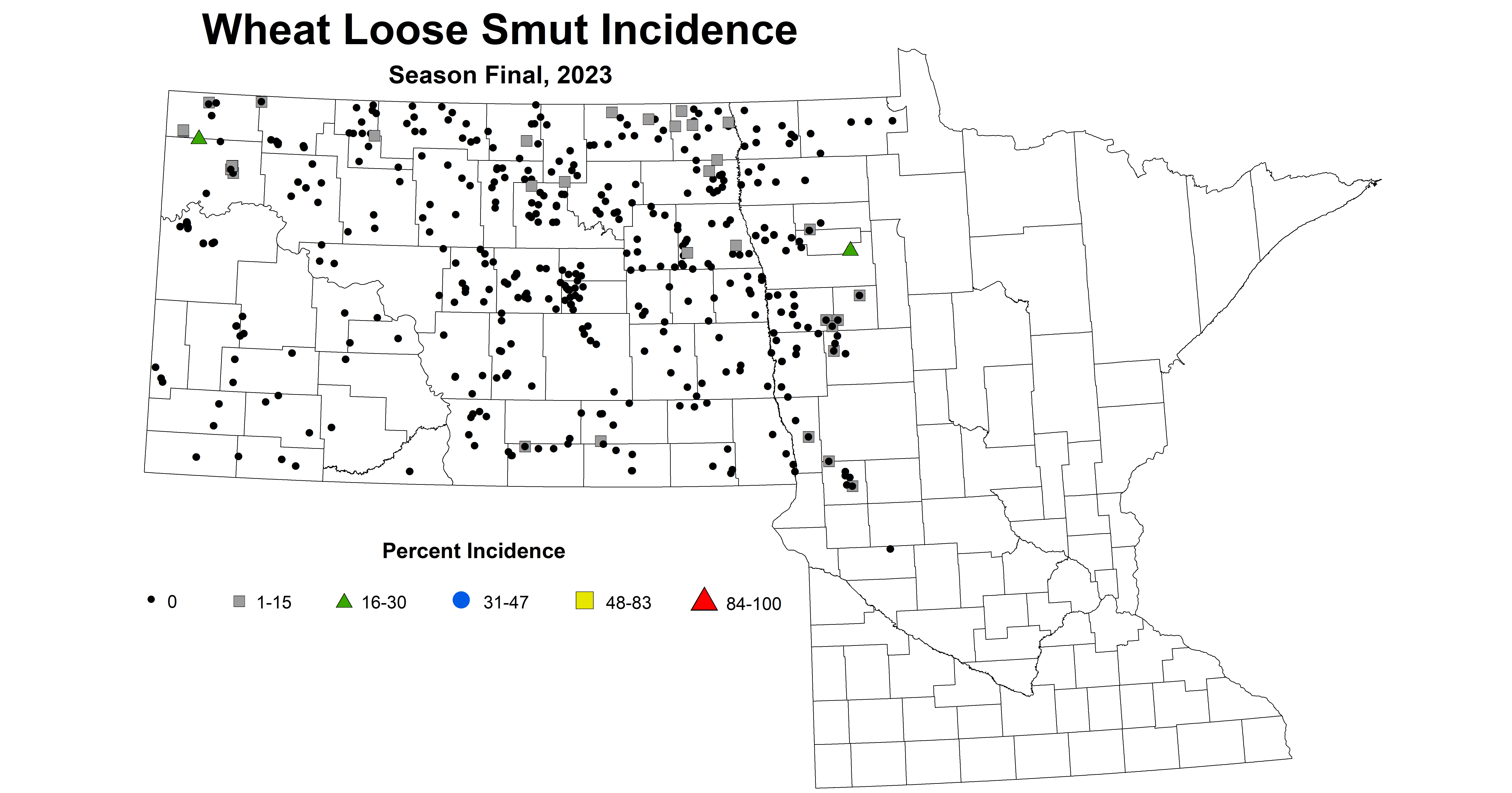 wheat loose smut incidence season final 2023