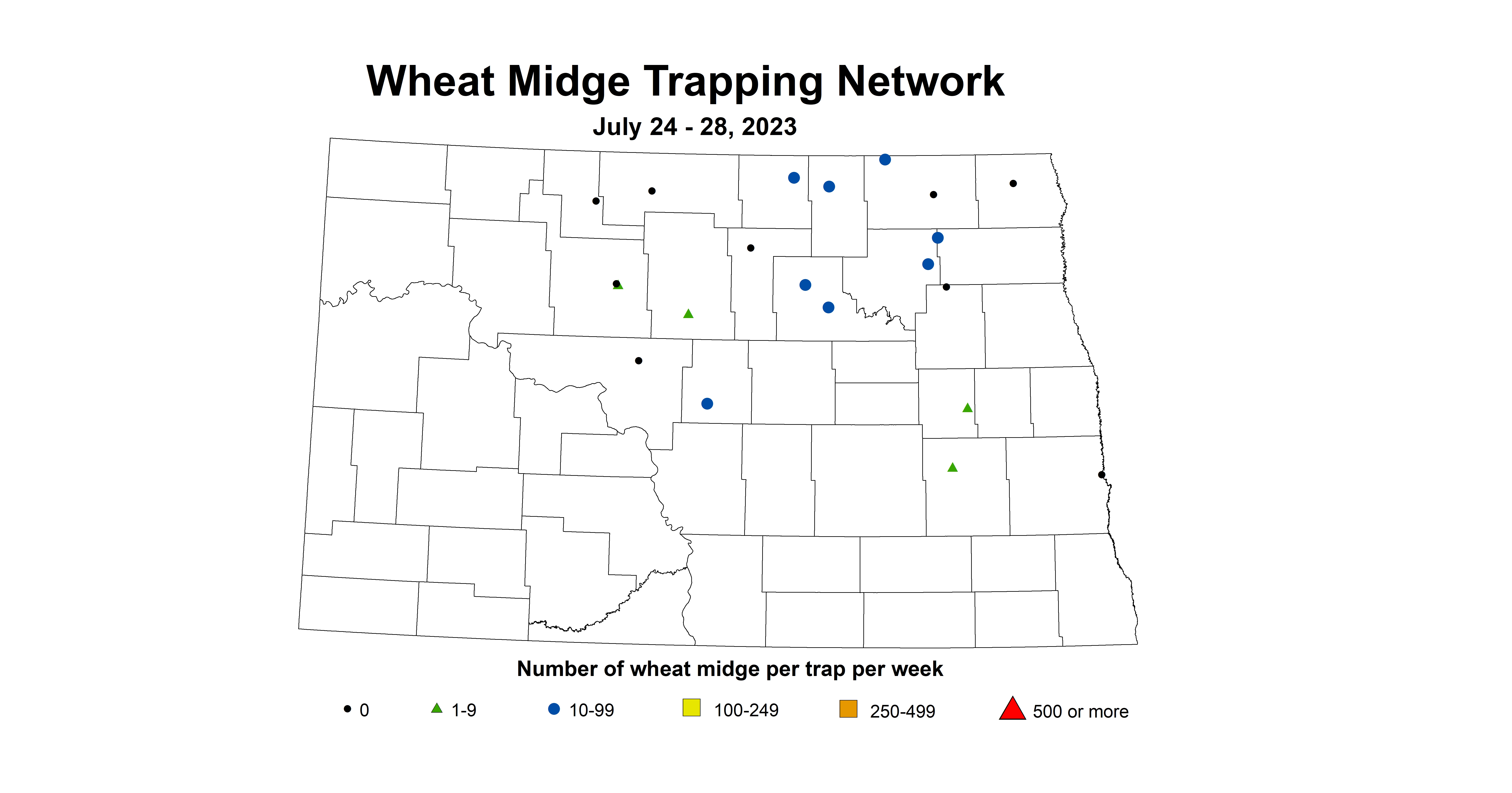 wheat midge trapping July 24-28 2023