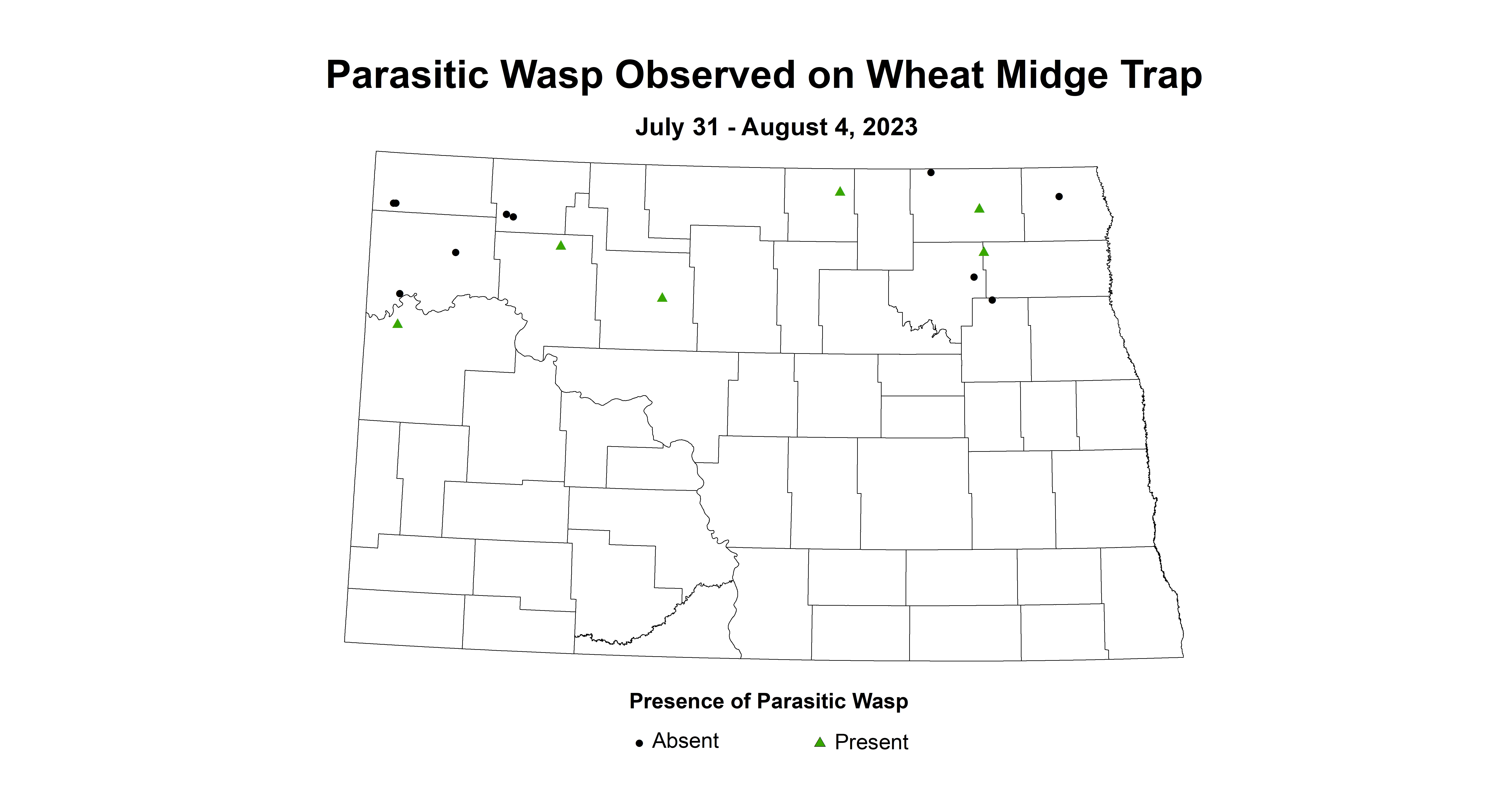 wheat midgetrap parasitic wasp 7.31-8.4 2023