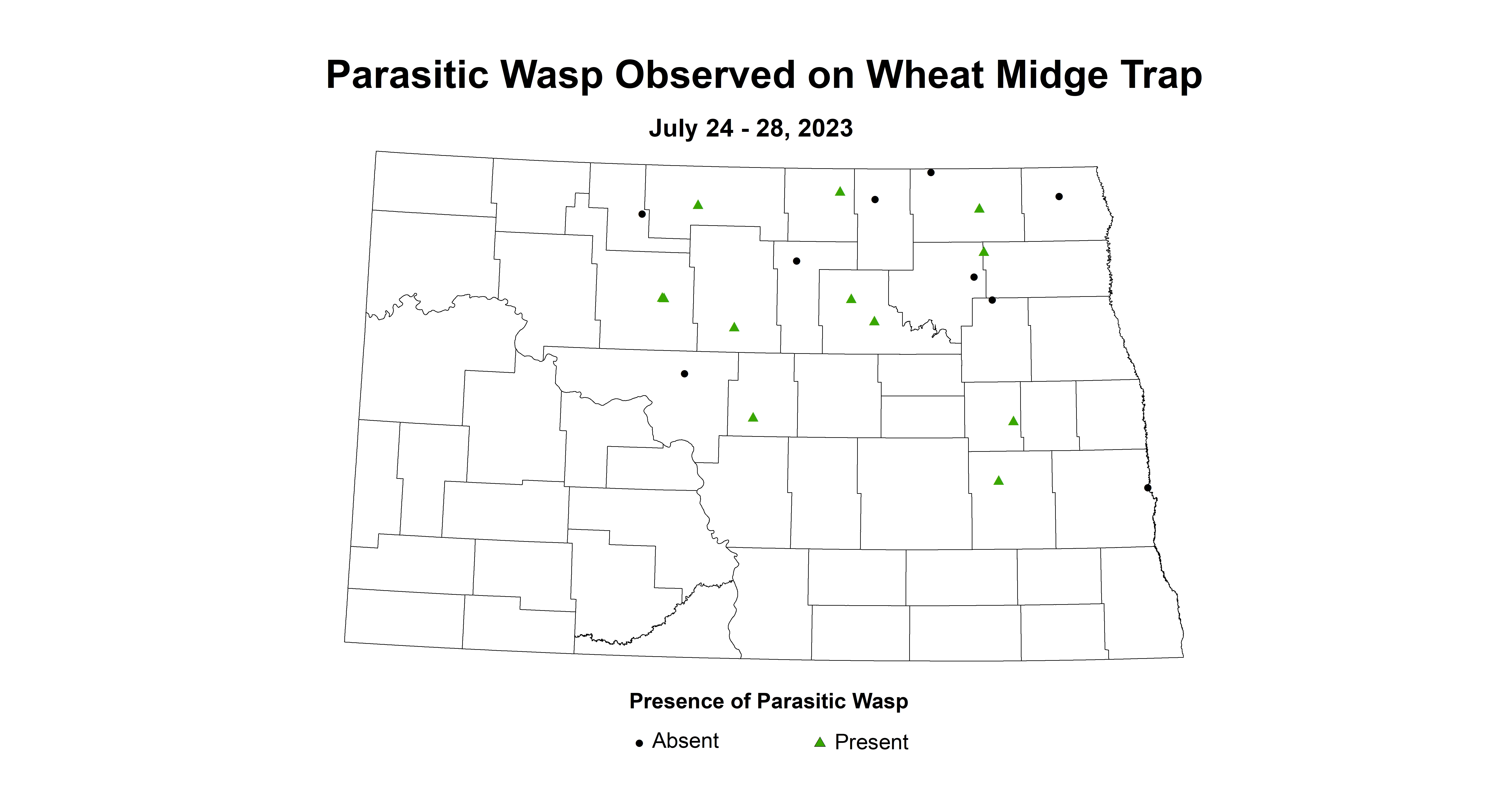 wheat midgetrap parasitic wasp July 24-28 2023