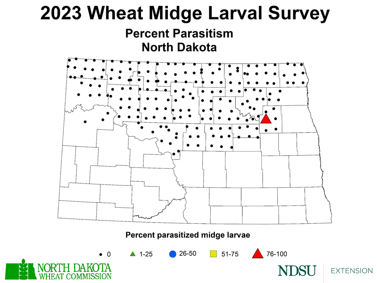 Map showing only Nelson County, ND had Parasitized midge larvae at 76-100%