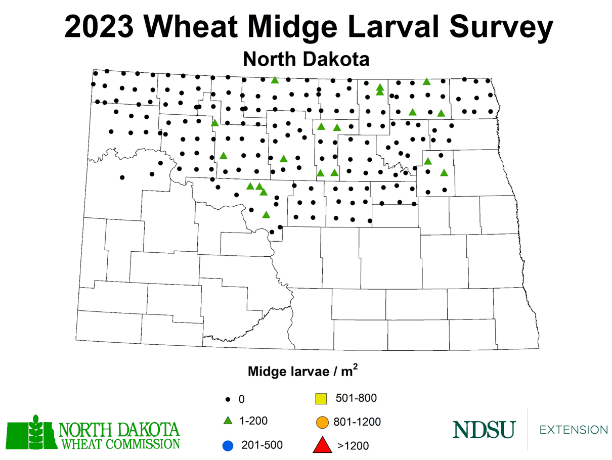 Map showing ND Counties positive for wheat midge: Cavalier, Nelson, Towner, Bottineau, Pierce, McHenry, McLean and Ward. 