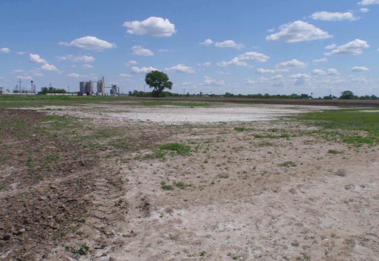 White soil, indicative of saline properties, on the test site