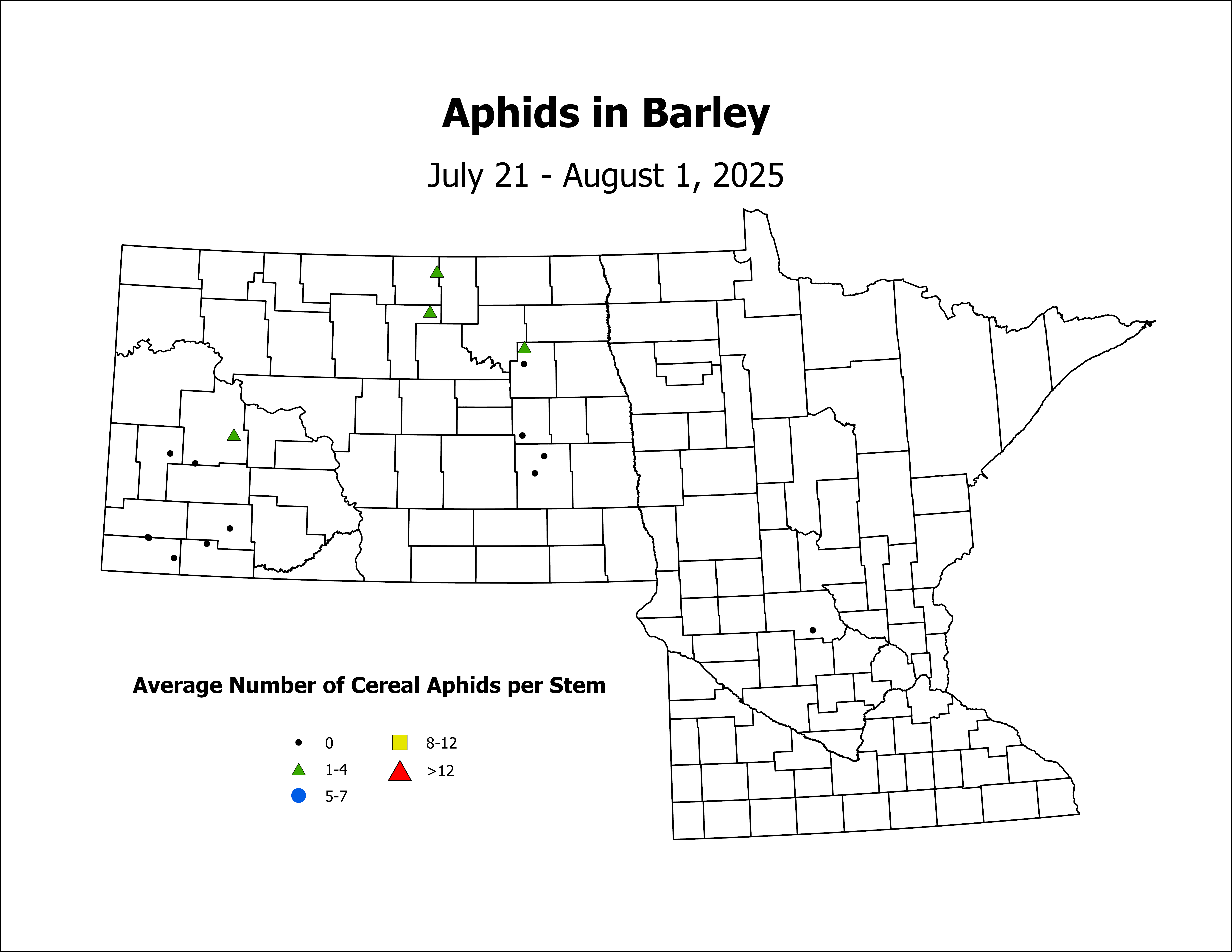 barley_Aph_Stem_2025July21ToAugust1