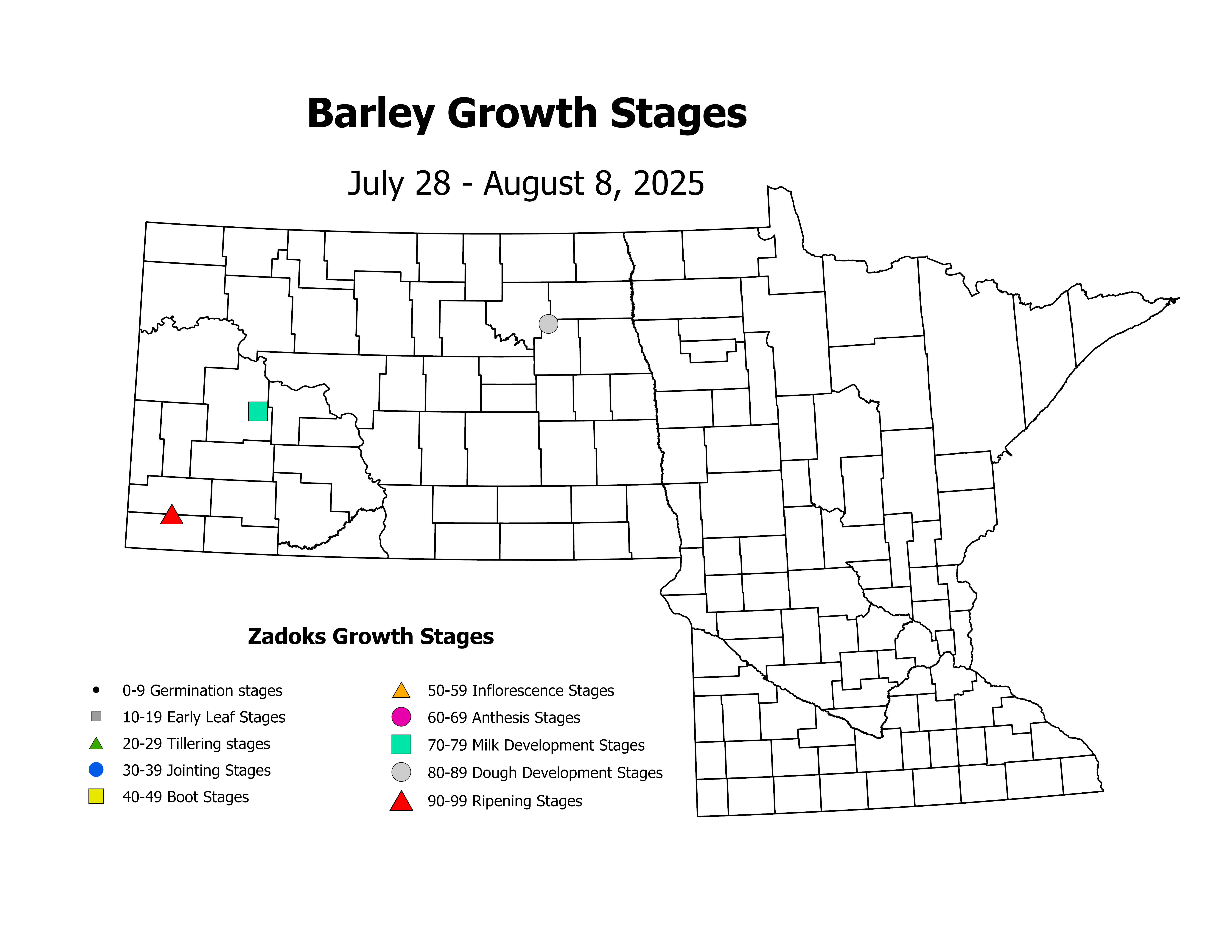 barley_CropStage_2025July28ToAugust8