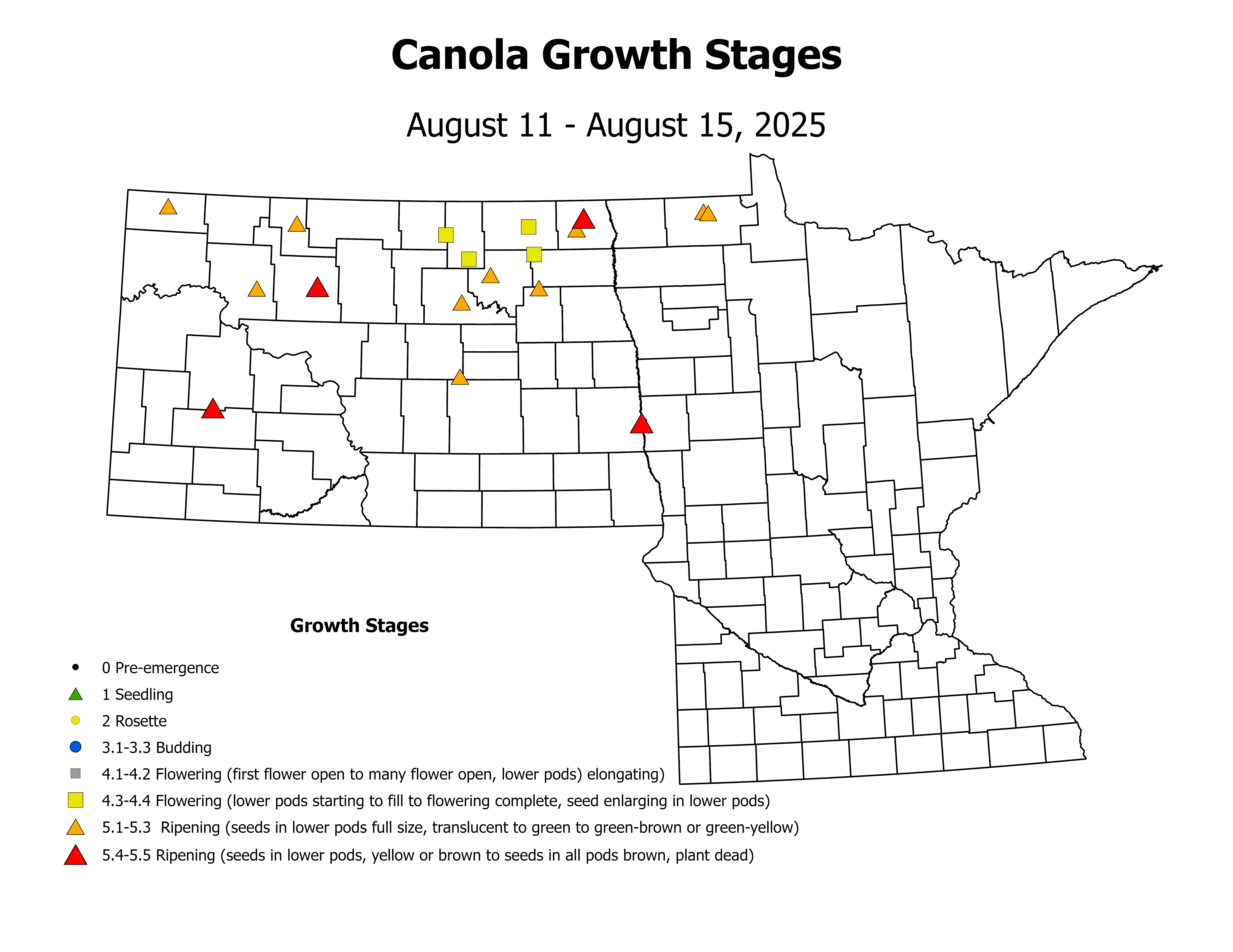 canolaInsectTrap_CropStage_2025August11ToAugust15