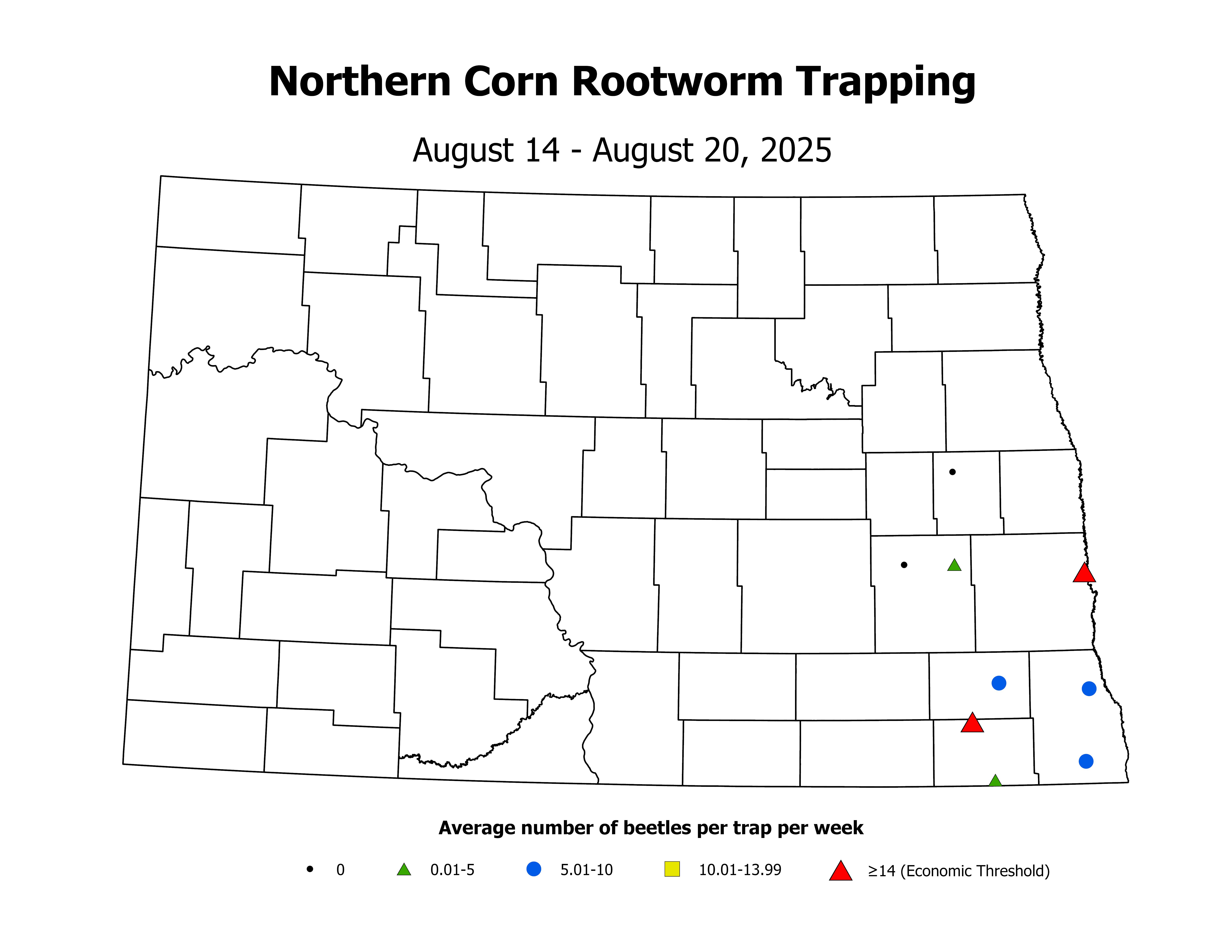 corn_Avg_NCR_2025August14ToAugust20