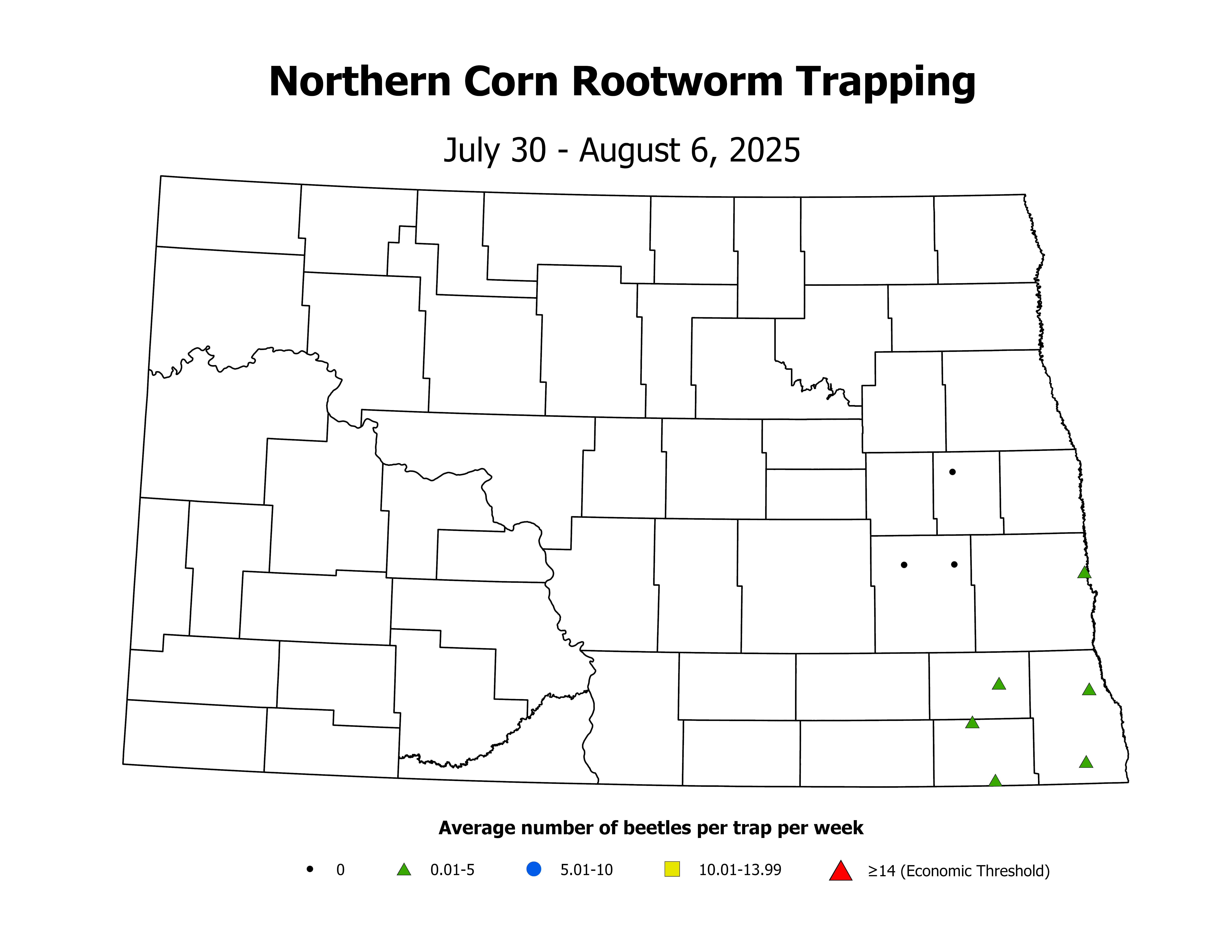 corn_Avg_NCR_2025July30ToAugust6