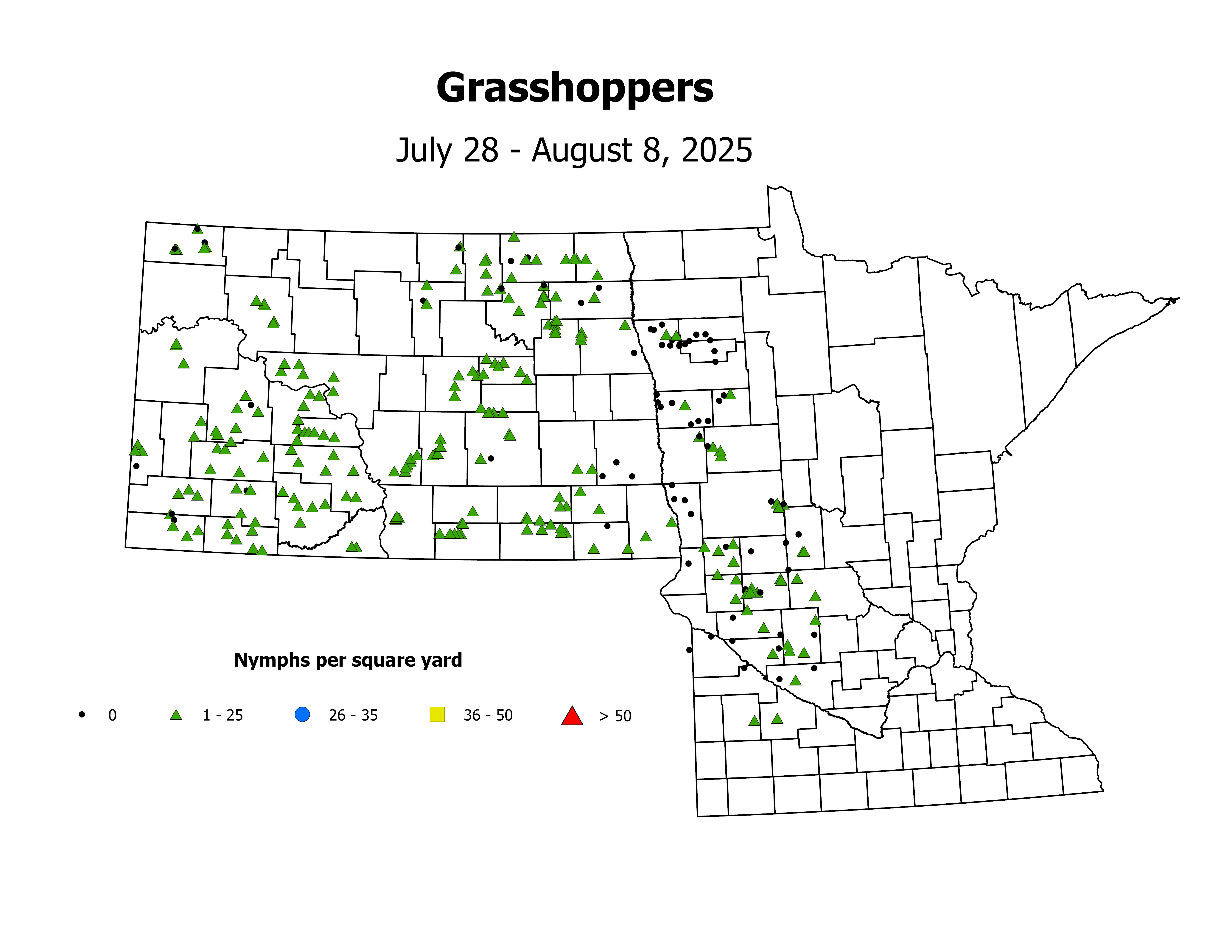 grasshopper_Nymph_sqyd_2025July28ToAugust8