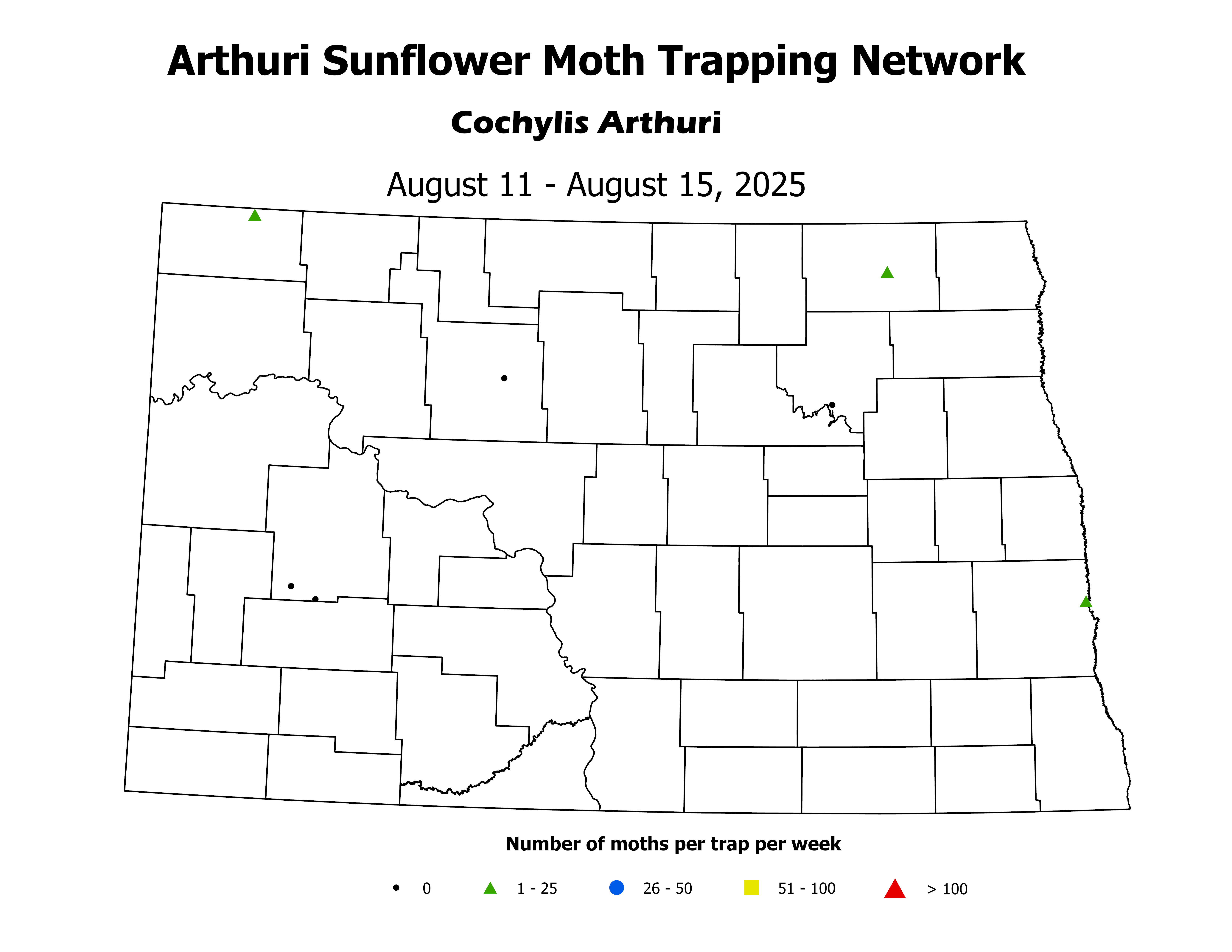 sunflowerInsectTrap_ASM_Count_2025August11ToAugust15