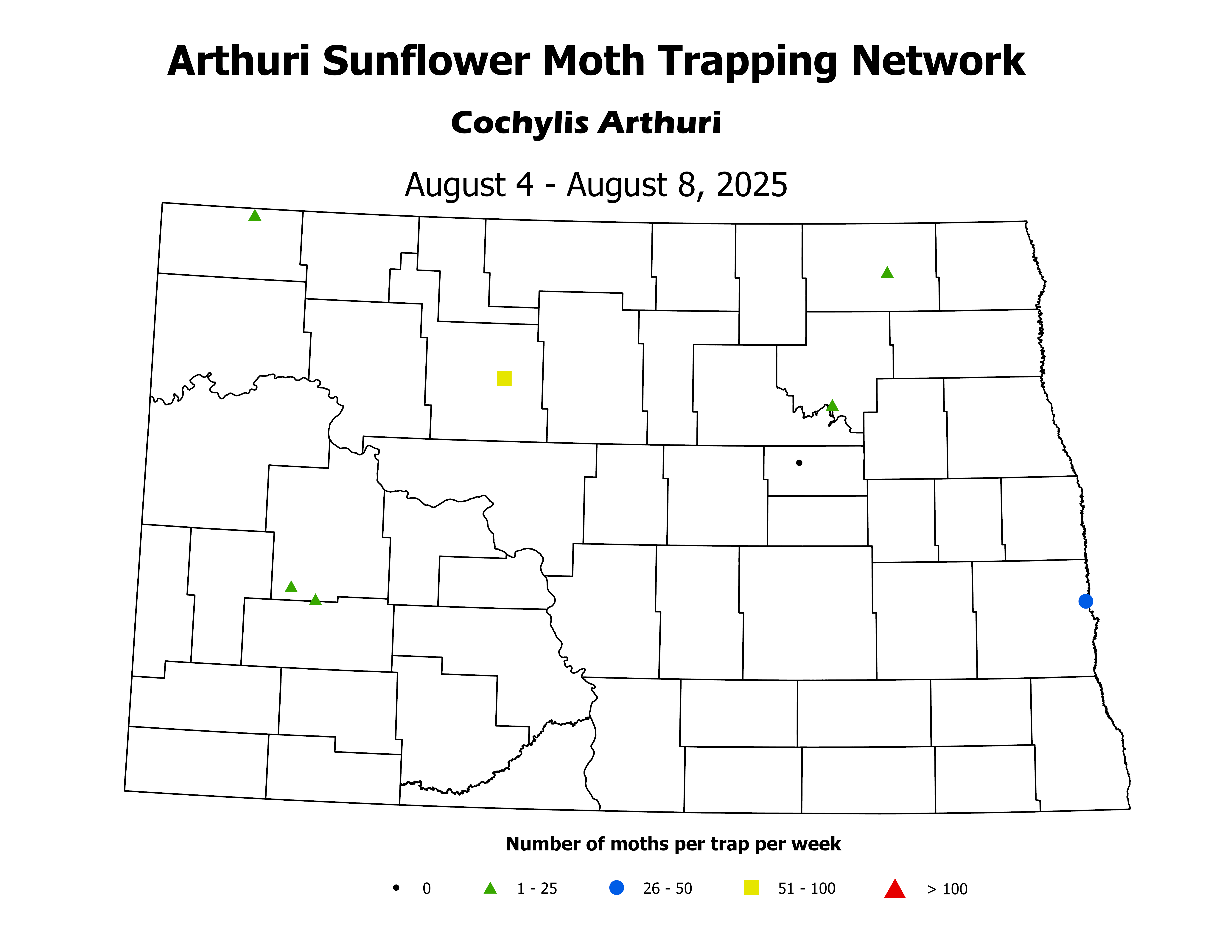 sunflowerInsectTrap_ASM_Count_2025August4ToAugust8