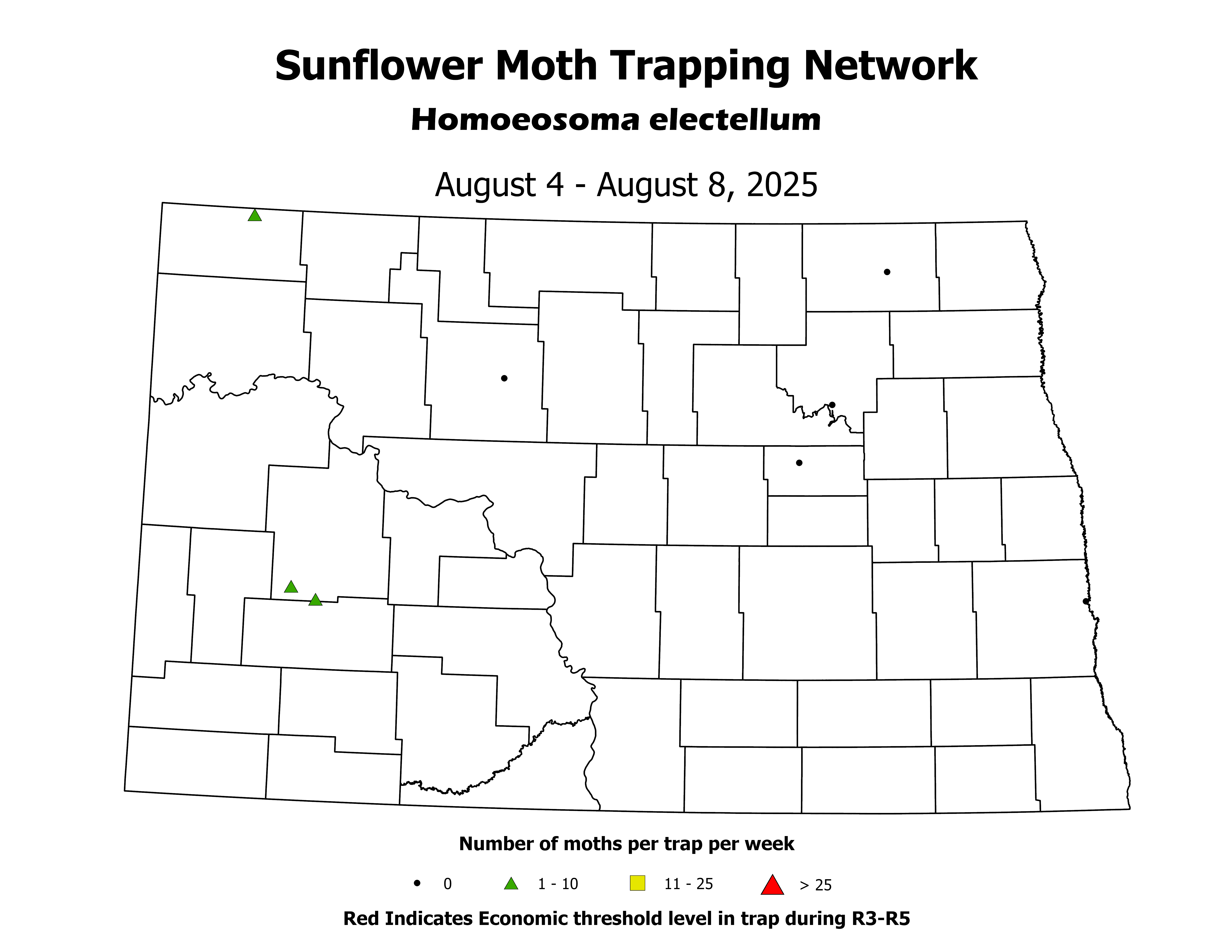 sunflowerInsectTrap_SM_Count_2025August4ToAugust8