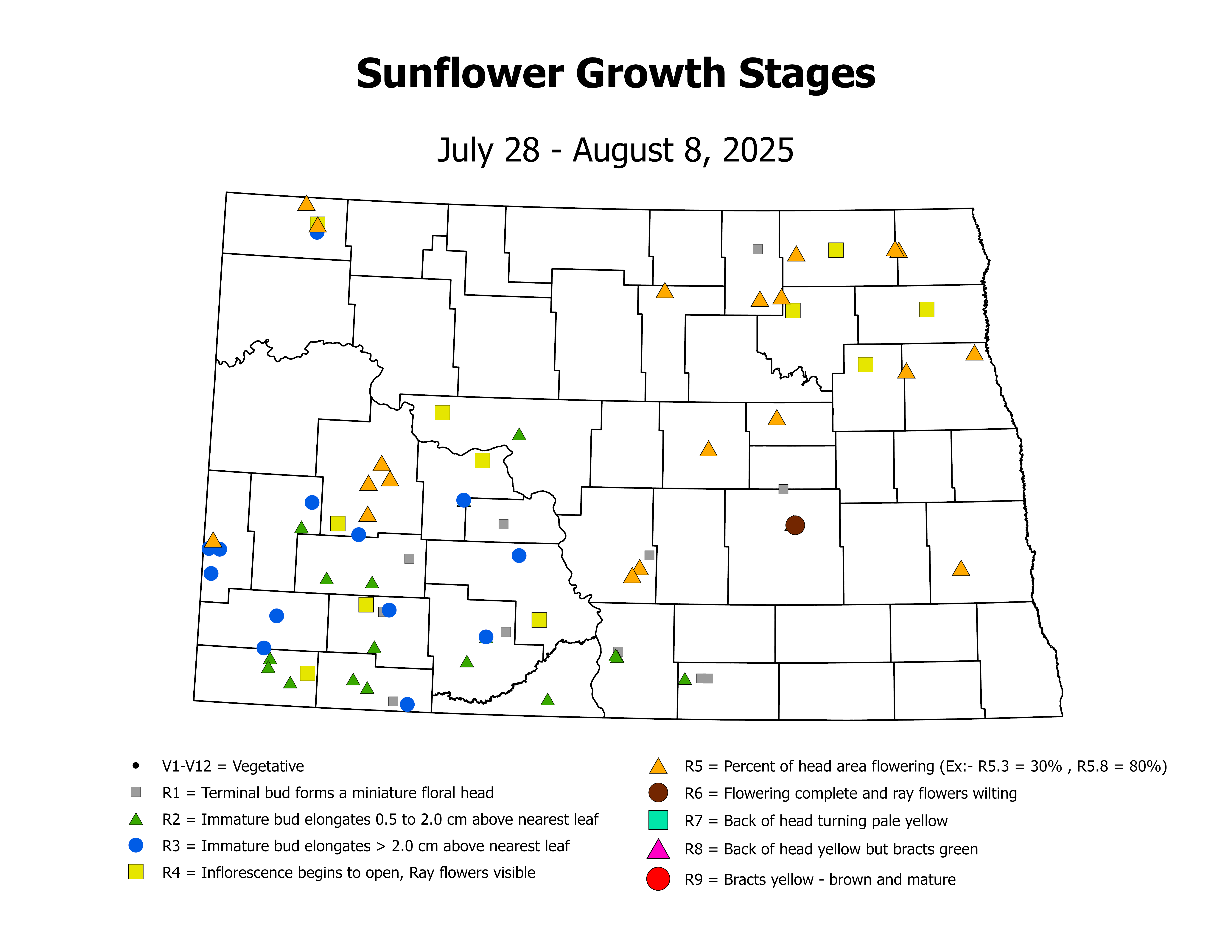 sunflower_CropStage_2025July28ToAugust8