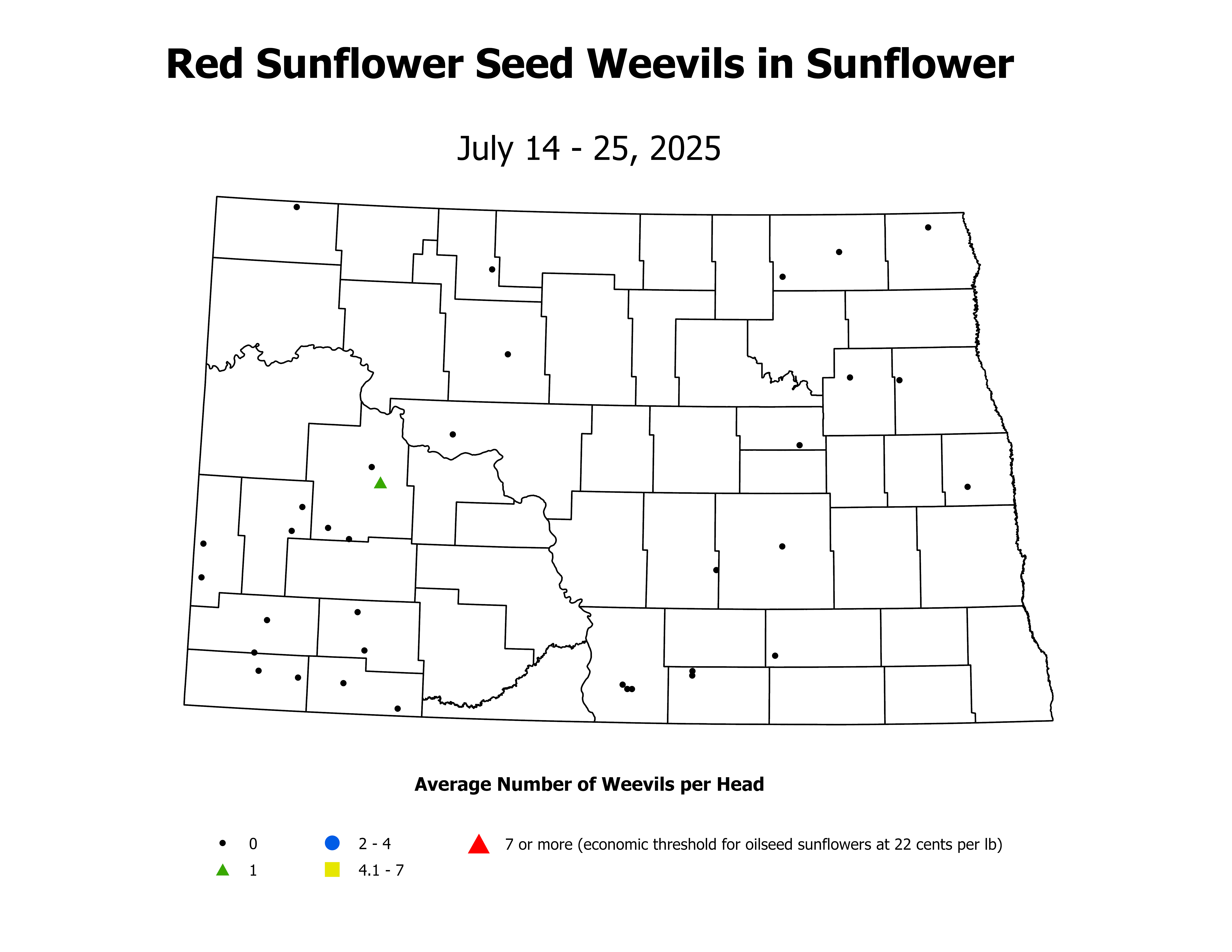 sunflower_RSW_Head_2025July14ToJuly25
