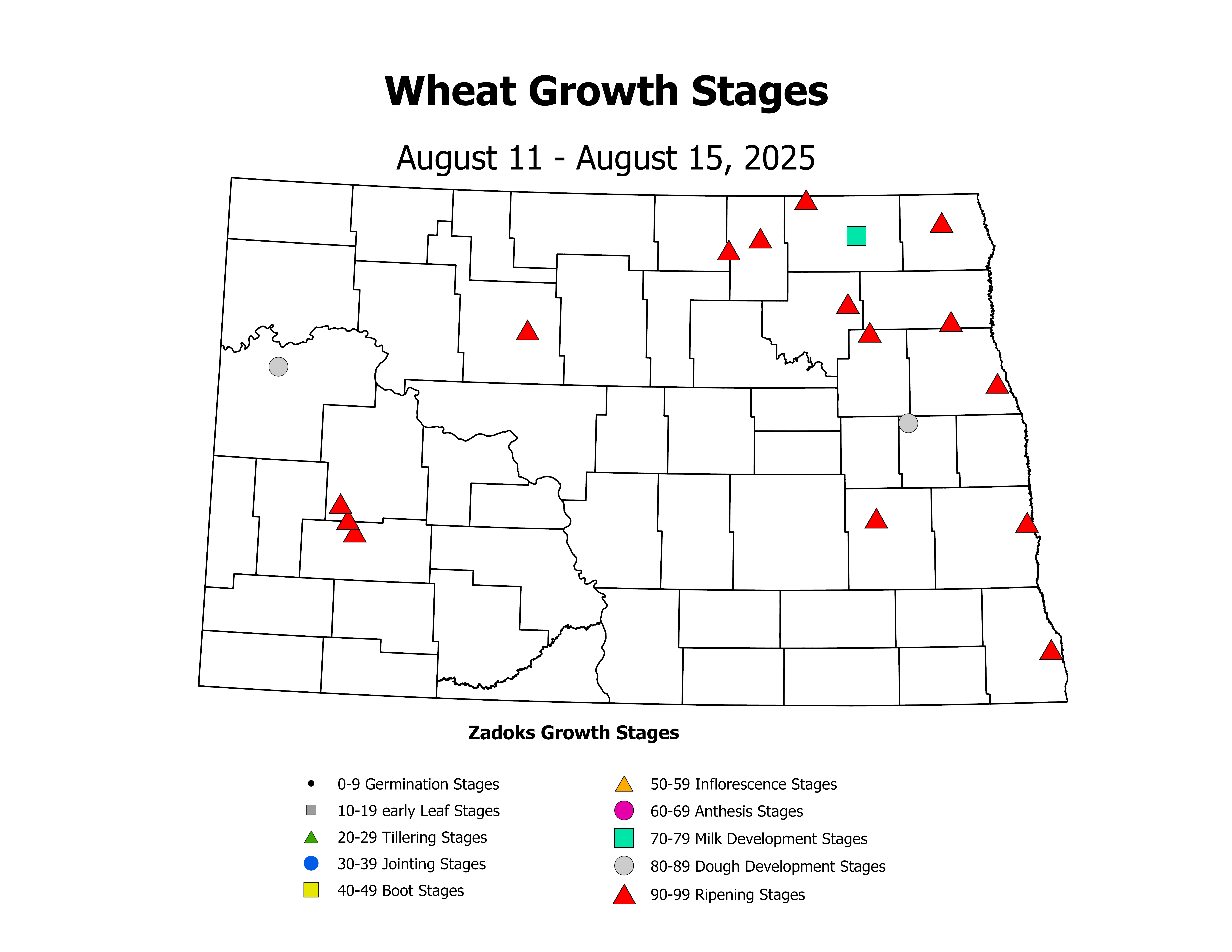 wheatInsectTrap_CropStage_2025August11ToAugust15
