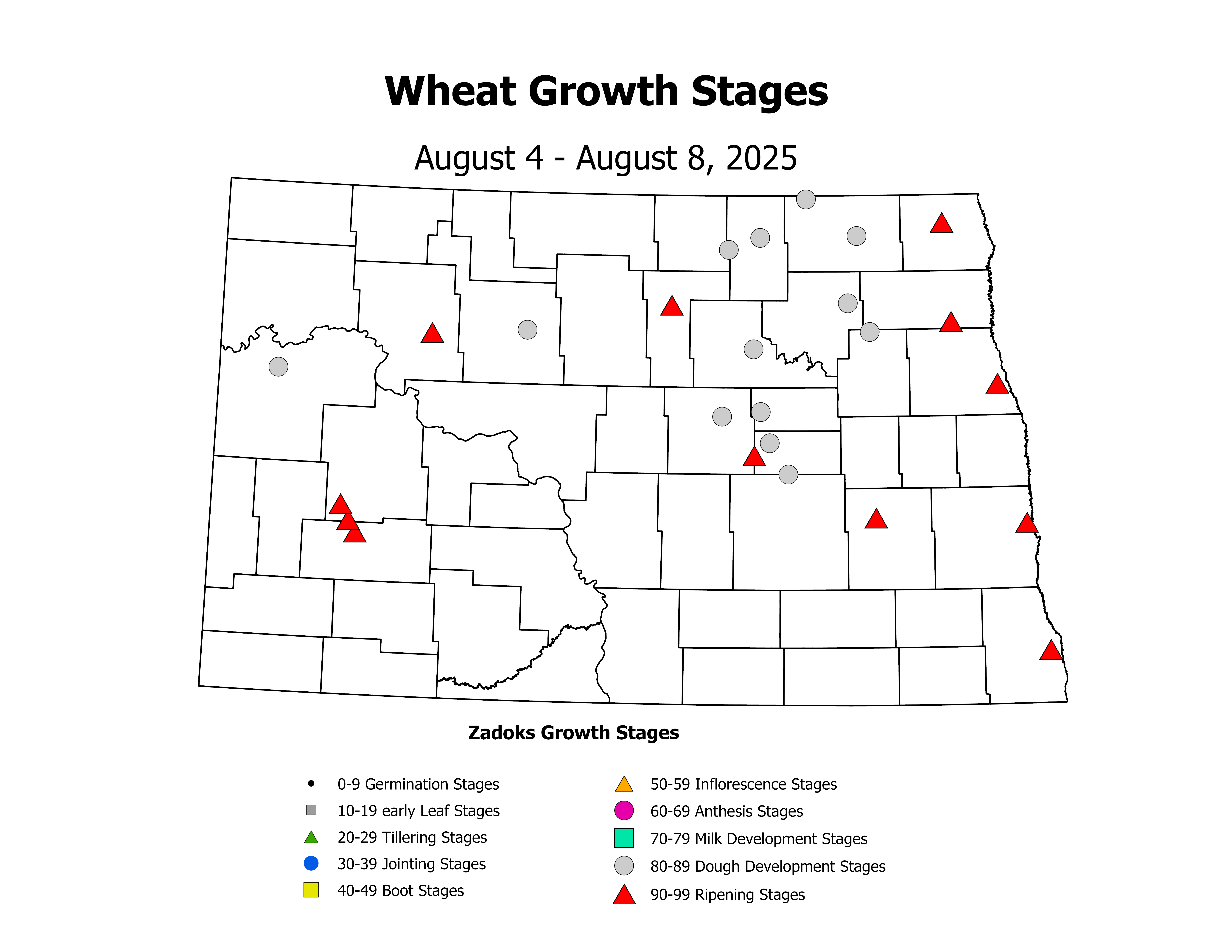wheatInsectTrap_CropStage_2025August4ToAugust8