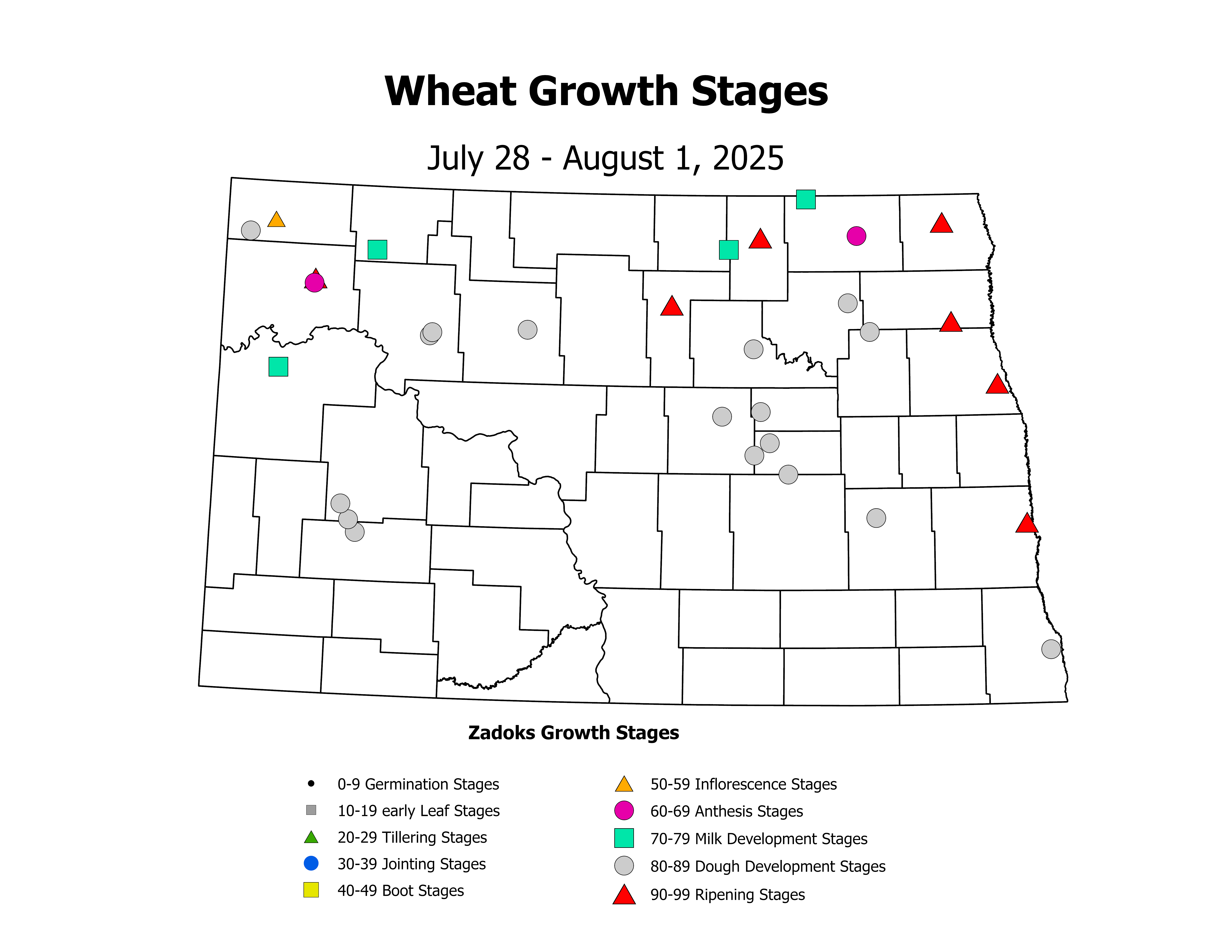 wheatInsectTrap_CropStage_2025July28ToAugust1
