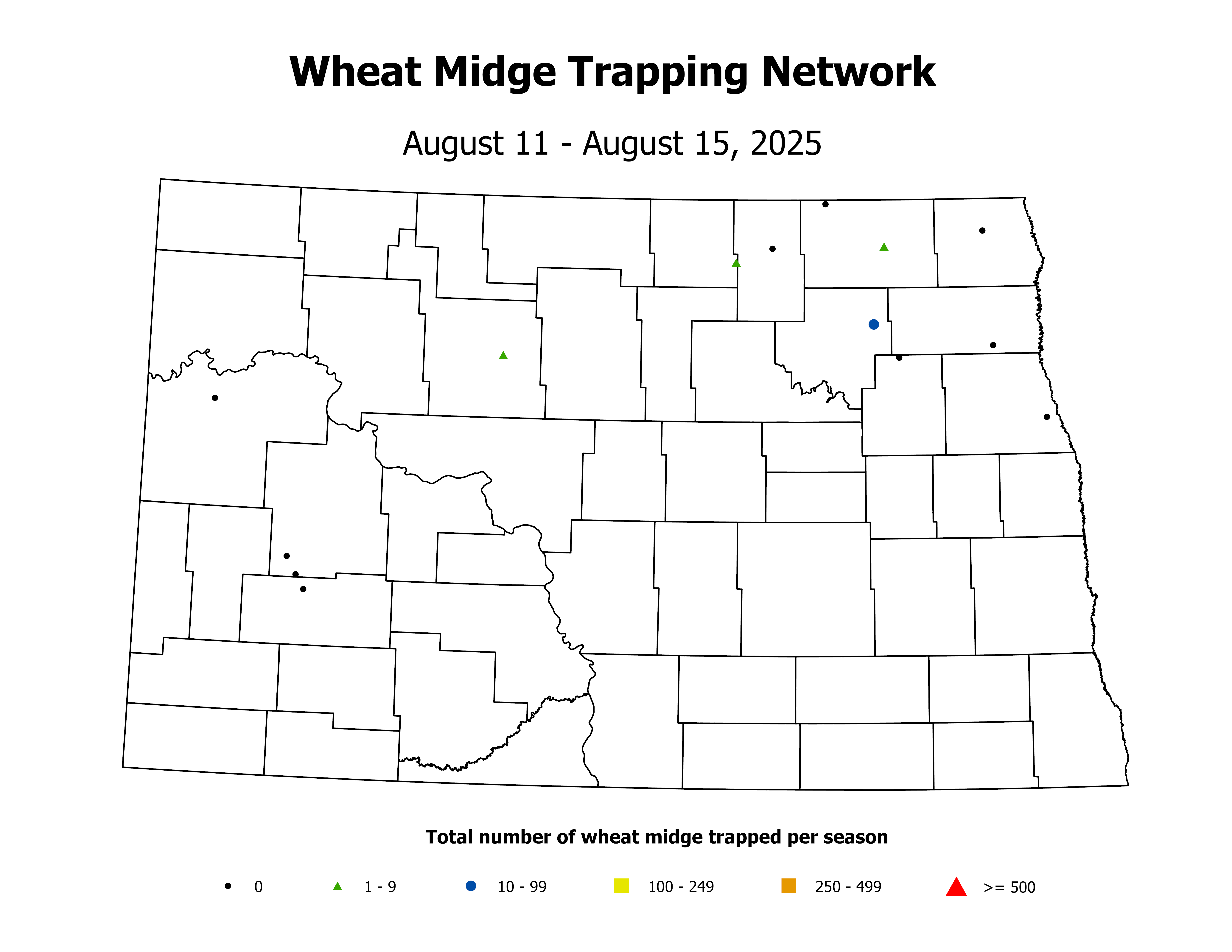 wheatInsectTrap_WM_Count_2025August11ToAugust15