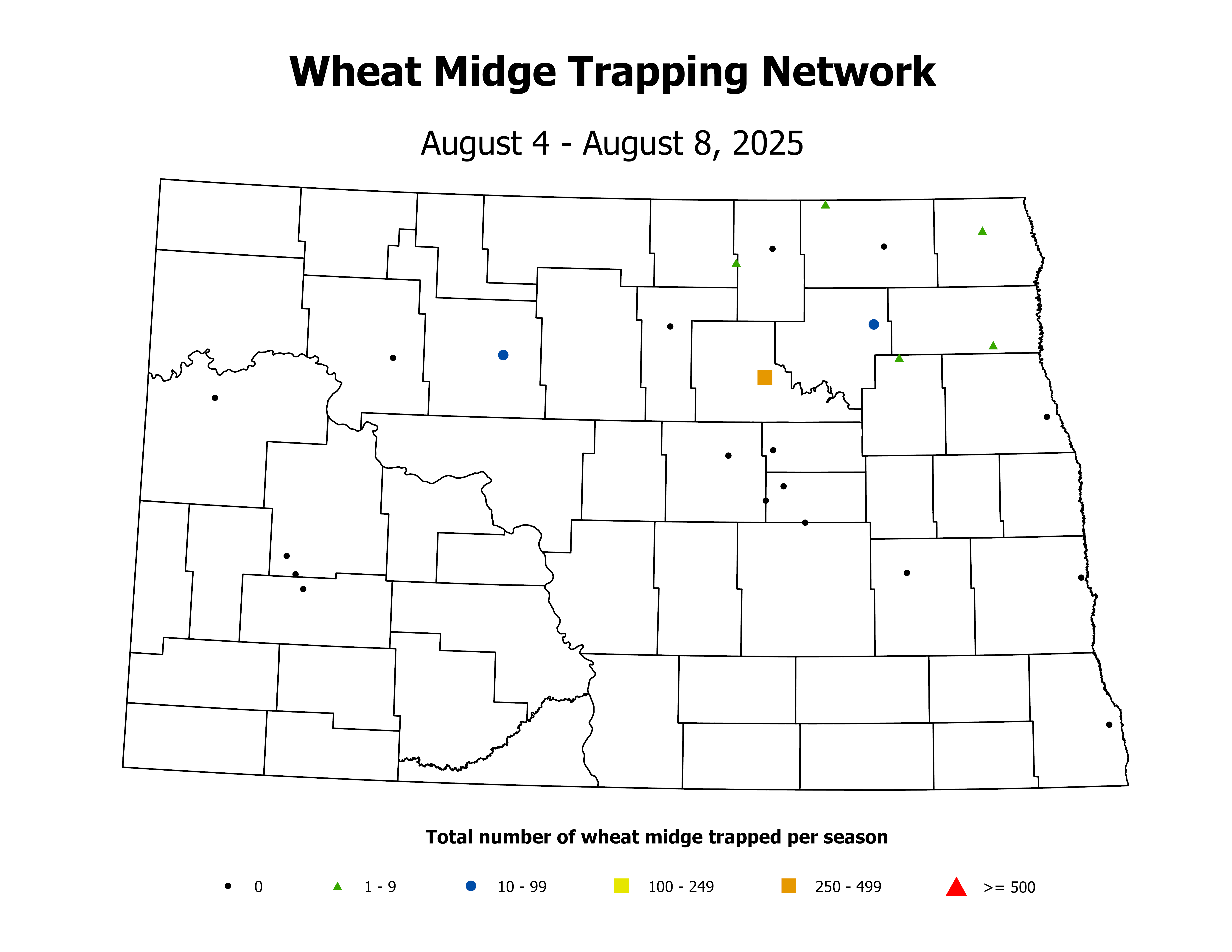 wheatInsectTrap_WM_Count_2025August4ToAugust8