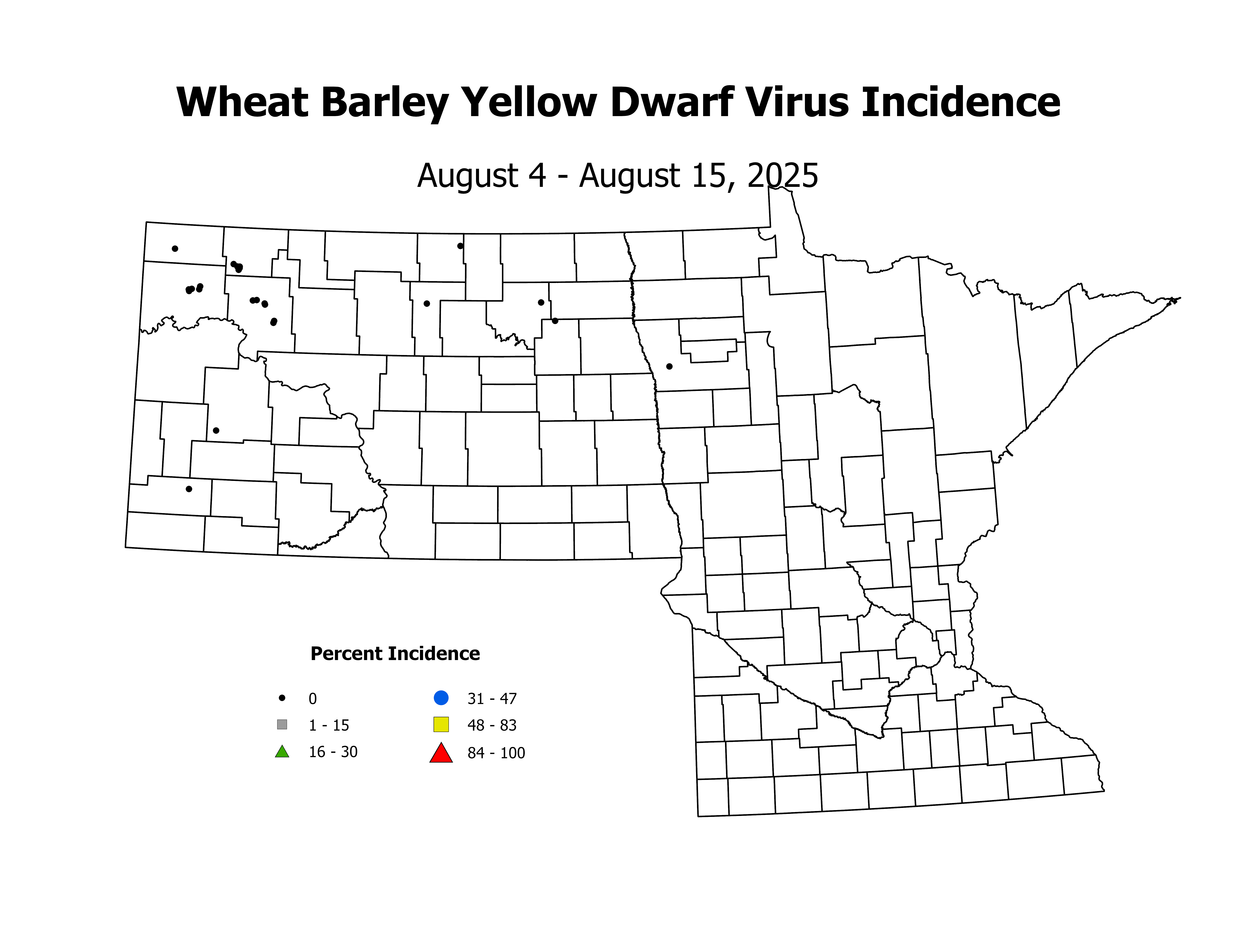 wheat_BYDV_INC_2025August4ToAugust15